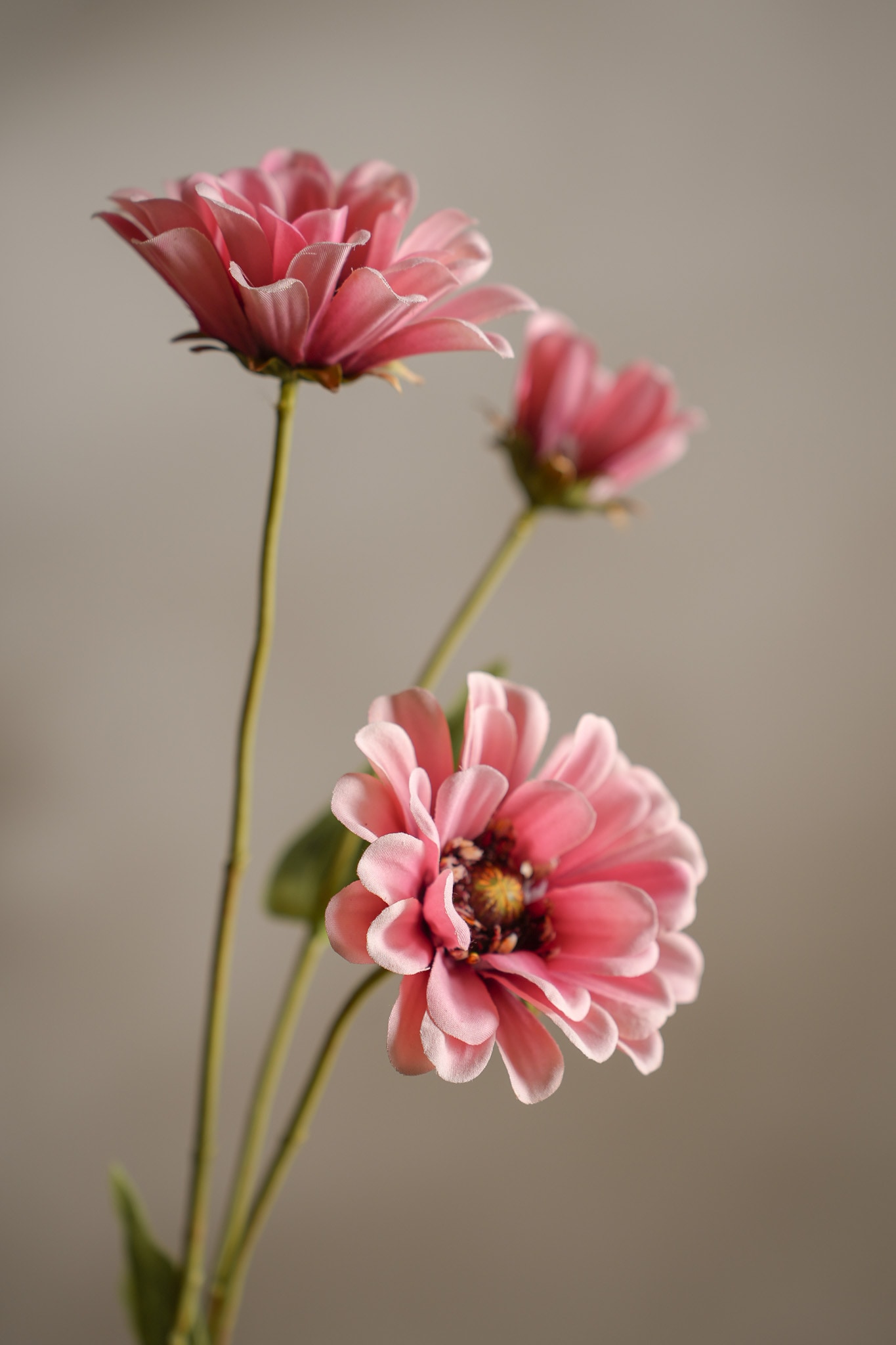 Kunstig rosa Zinnia 65 cm