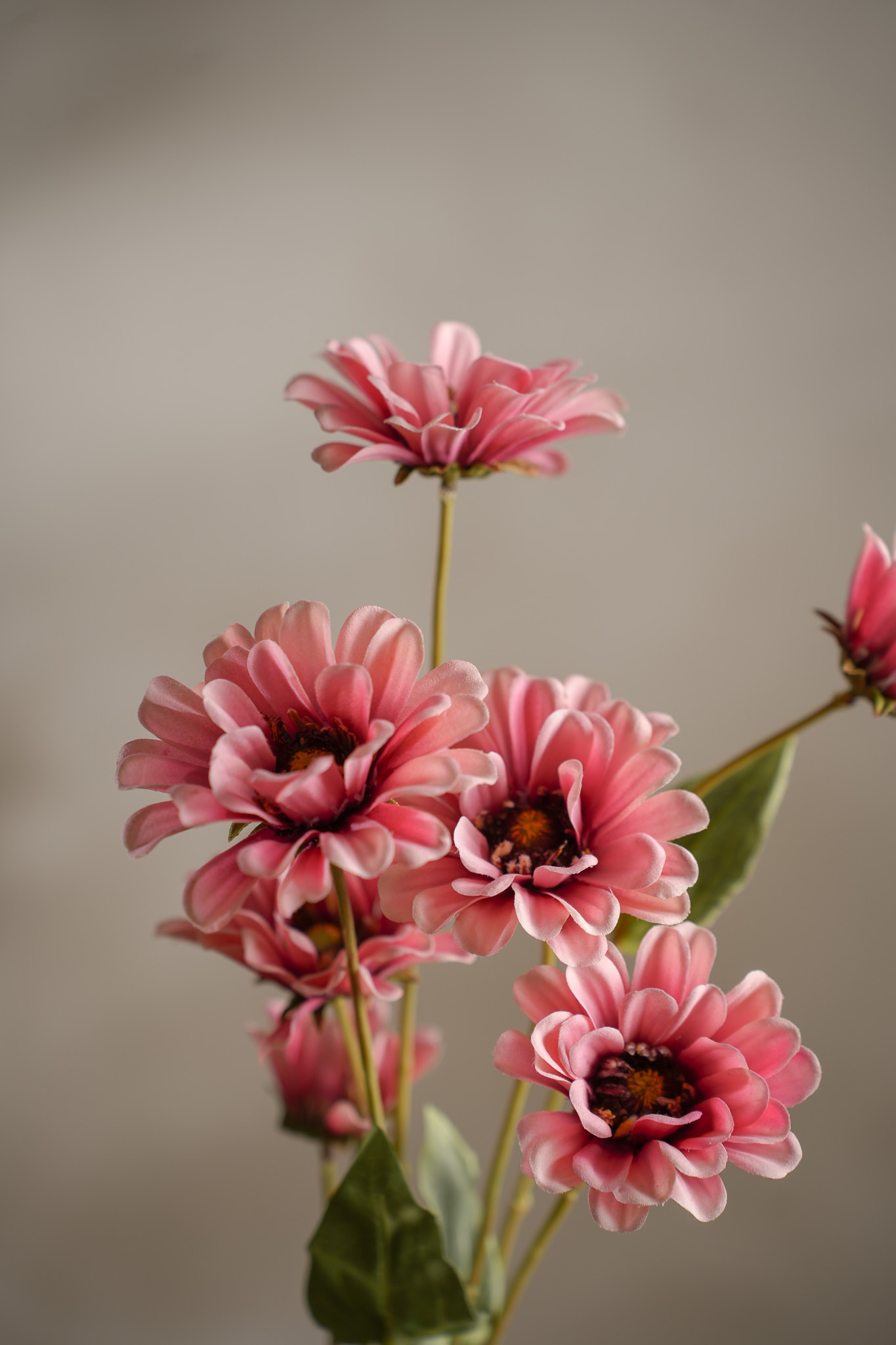 Kunstig rosa Zinnia 90 cm