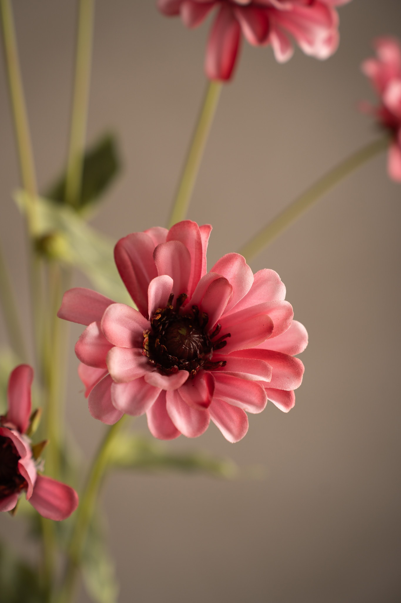 Kunstig rosa Zinnia 90 cm