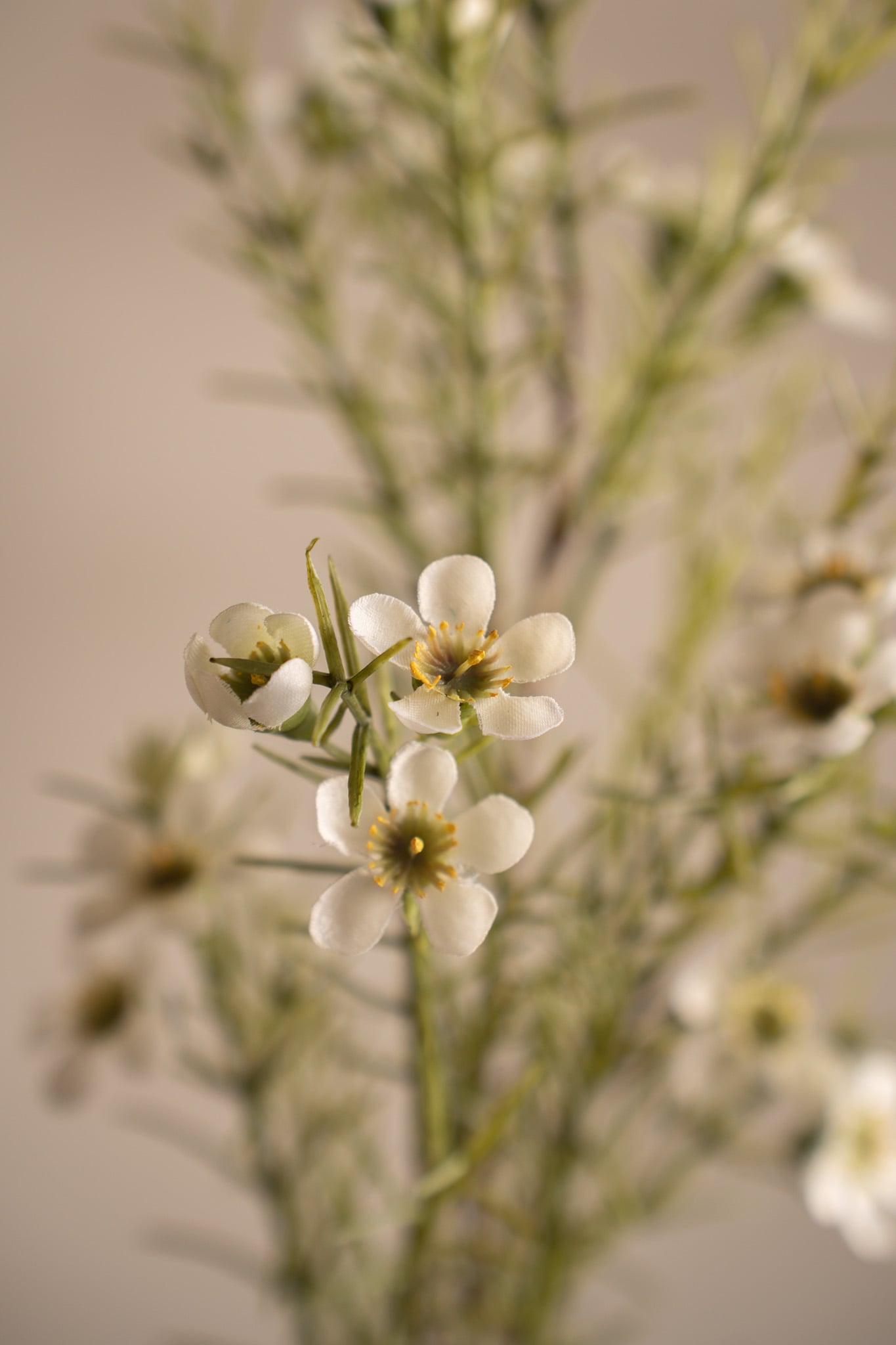 Kunstig hvit Voksblomst 60 cm