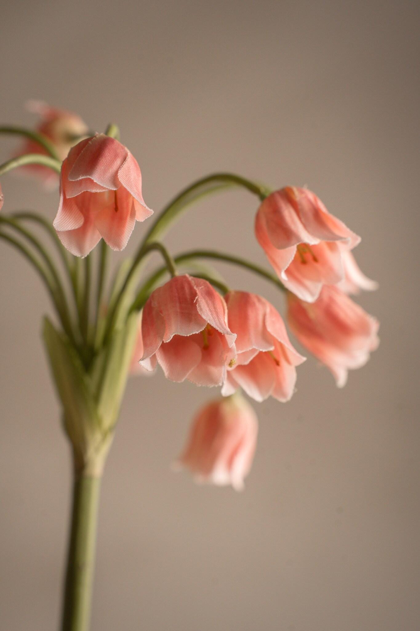 Kunstig rosa Allium 65 cm
