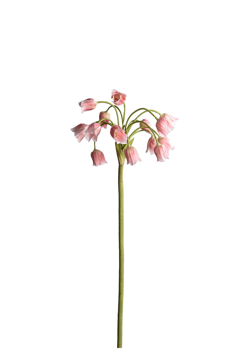 Kunstig rosa Allium 65 cm