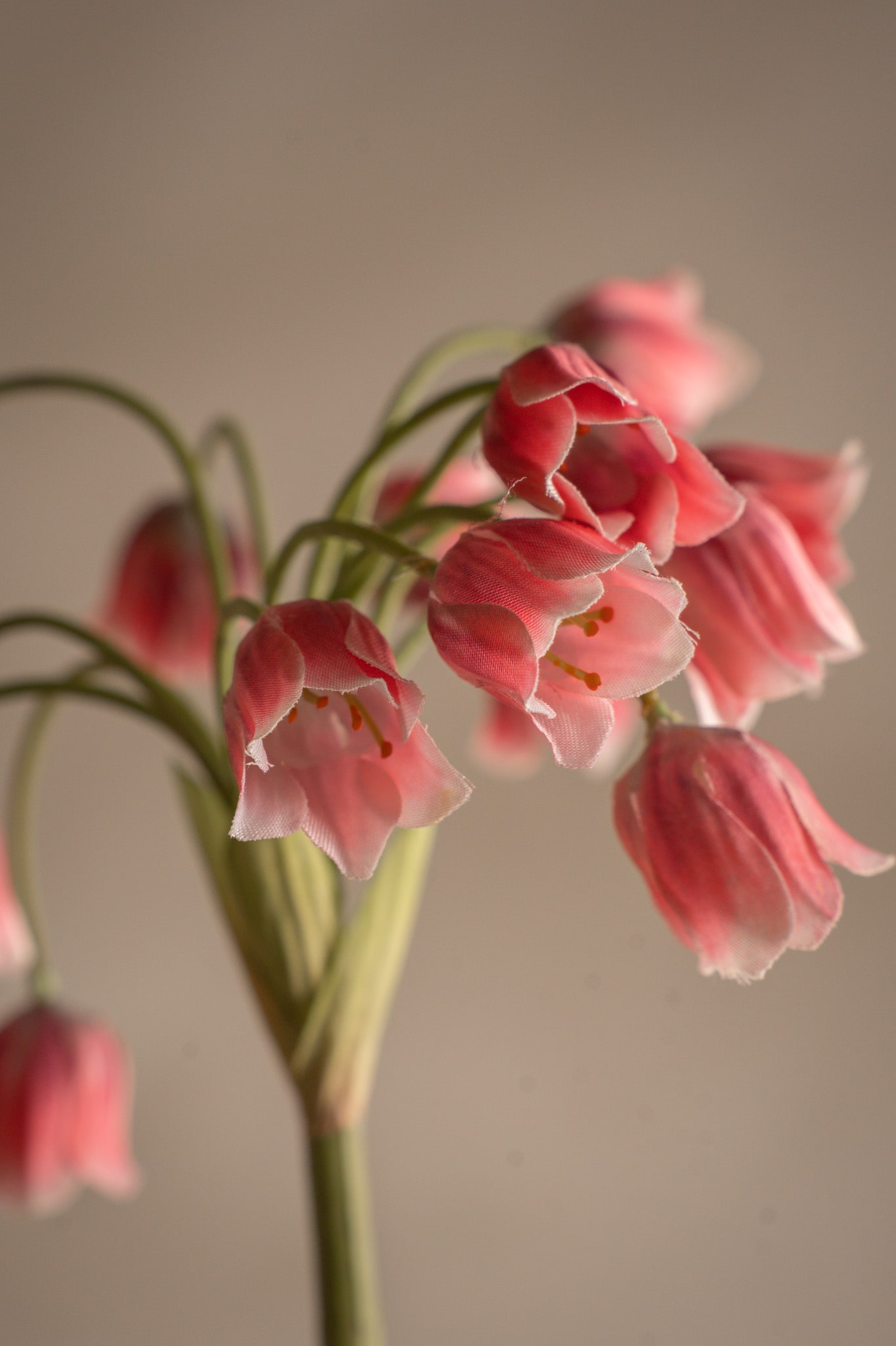 Kunstig rosa Allium 65 cm