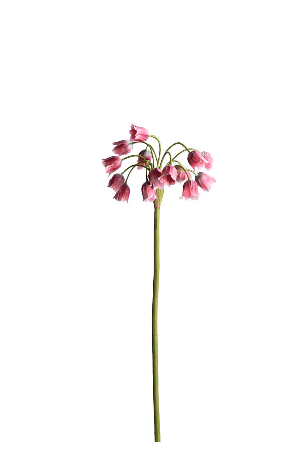 Kunstig rosa Allium 65 cm