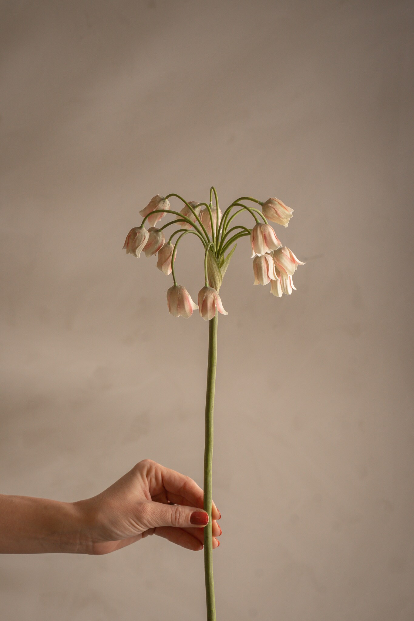 Kunstig grønn Allium 65 cm