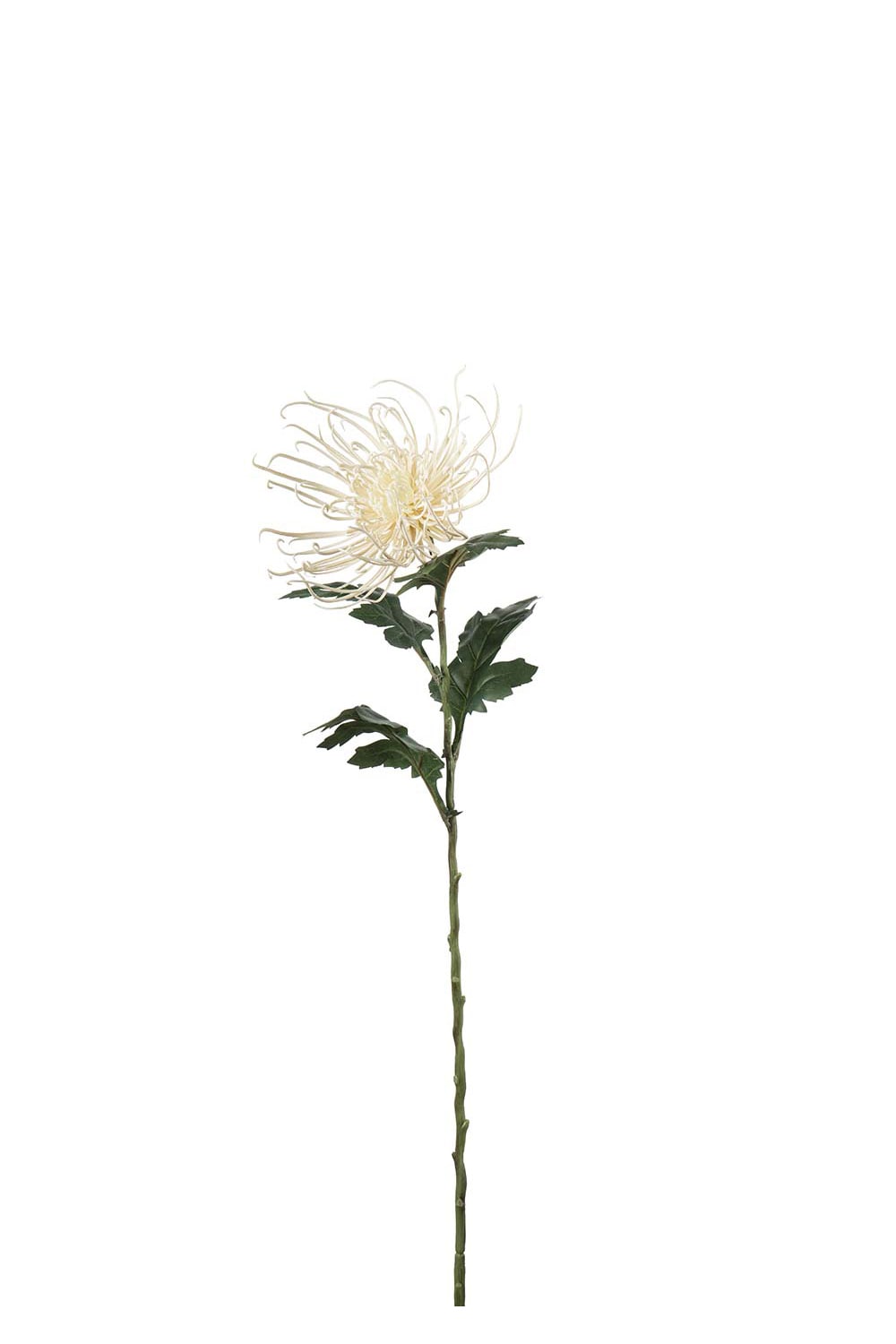 Kunstig kremfarget Edderkoppkrysantemum 70 cm