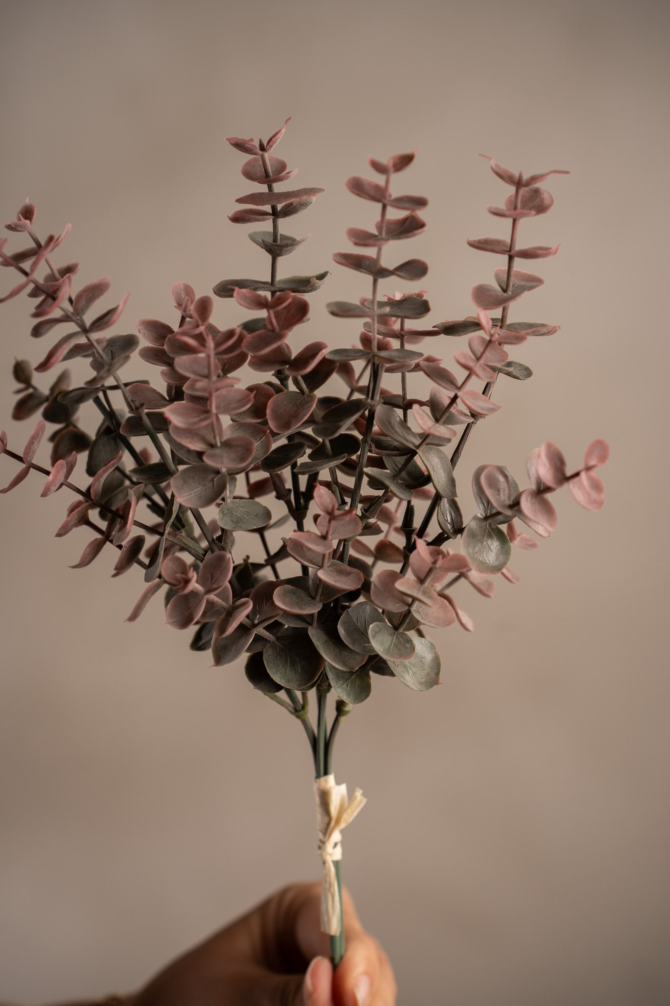 Kunstig burgunder Eucalyptus-bunt 30 cm