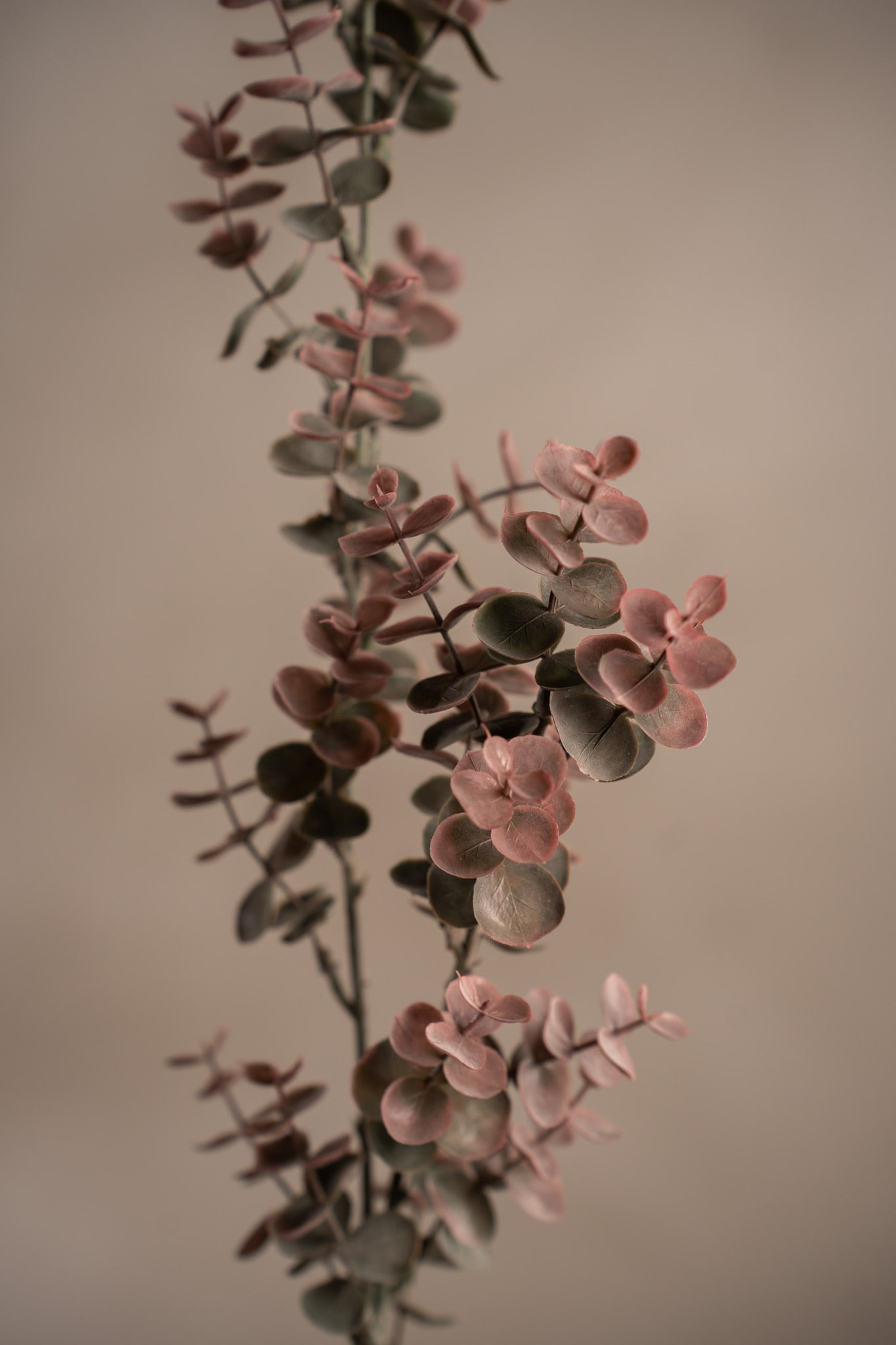 Kunstig burgunder Eucalyptus 70 cm