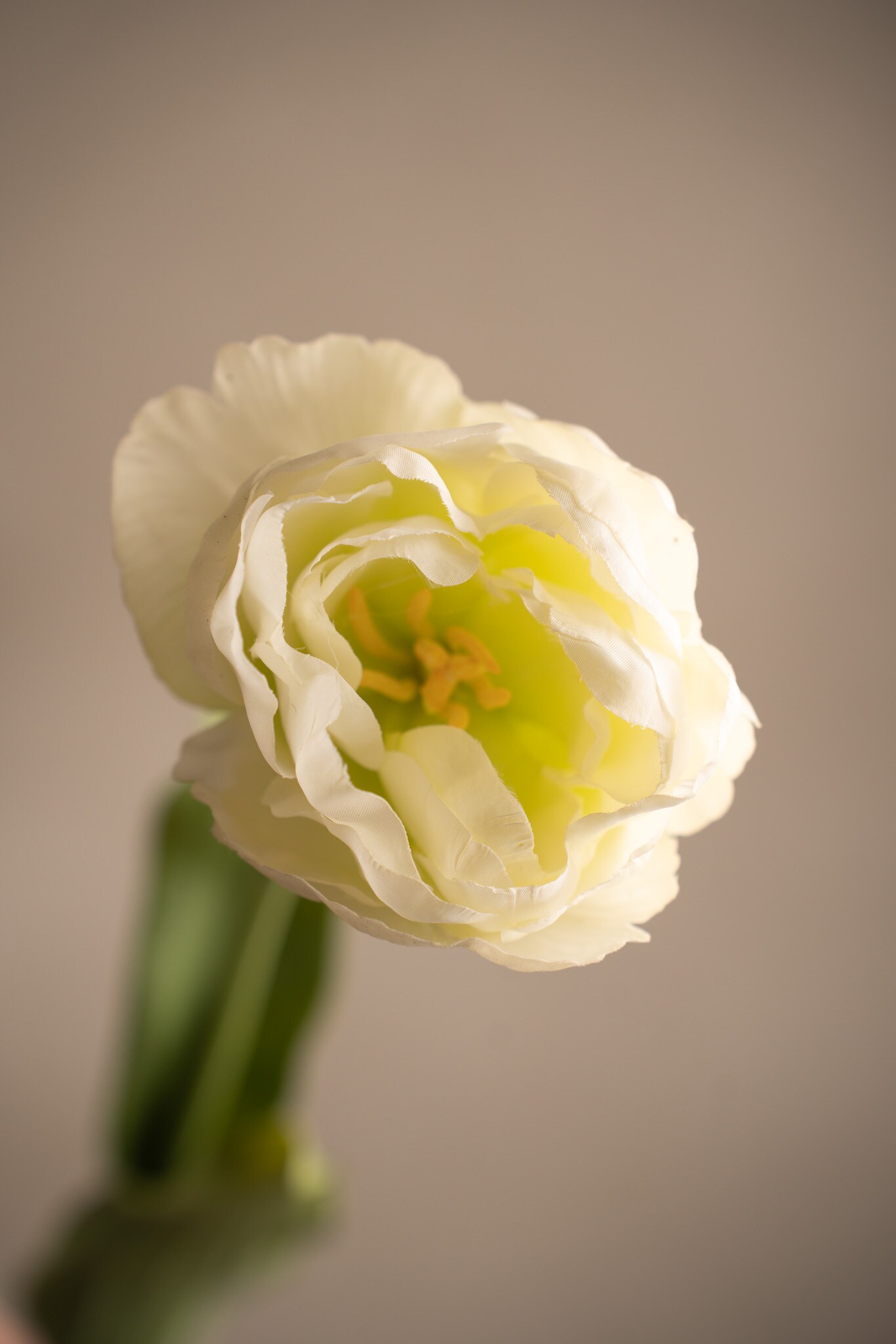 Kunstig kremfarget Tulipan 67 cm
