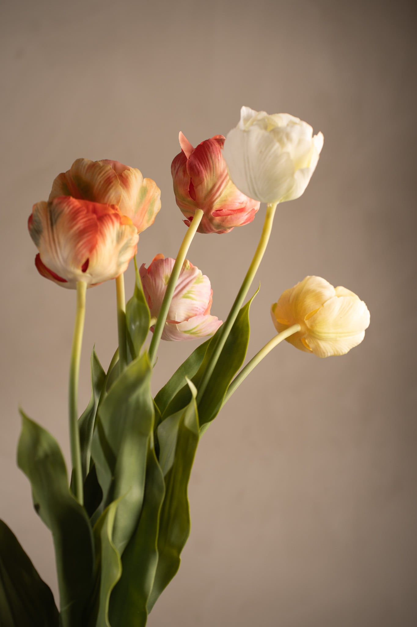 Kunstig kremfarget Tulipan 67 cm