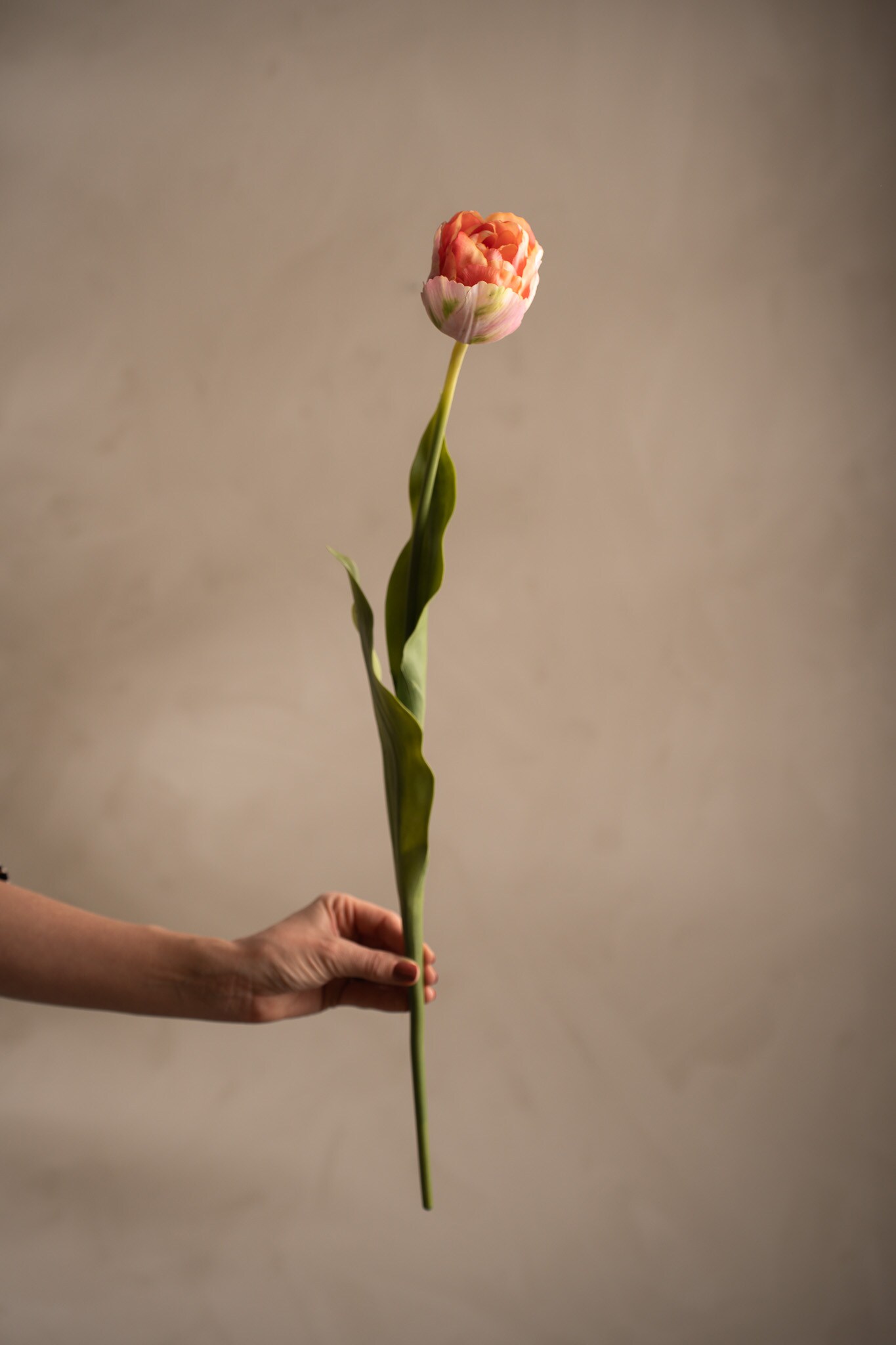 Kunstig rosa Tulipan 67 cm