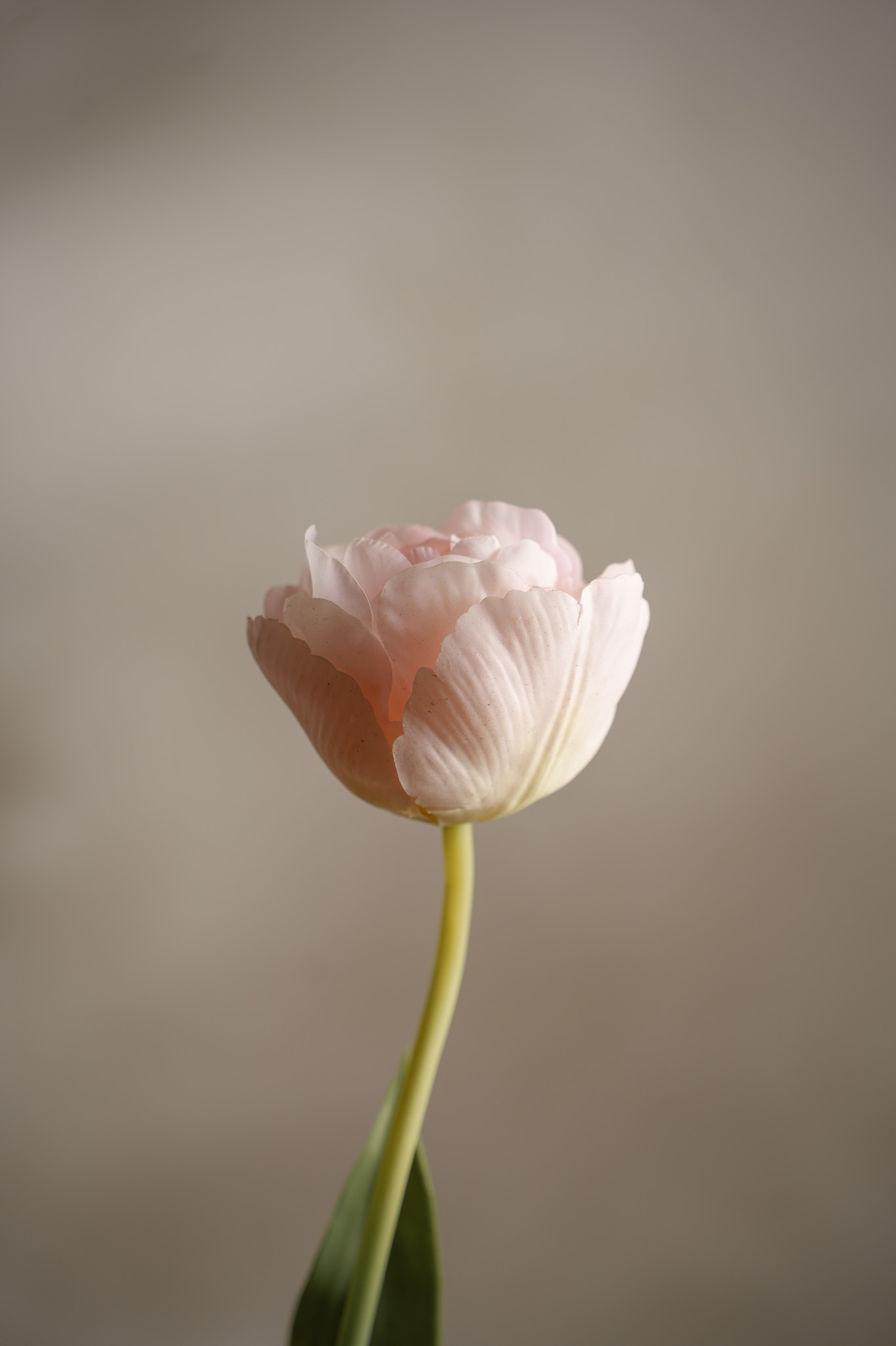 Kunstig rosa Tulipan 67 cm