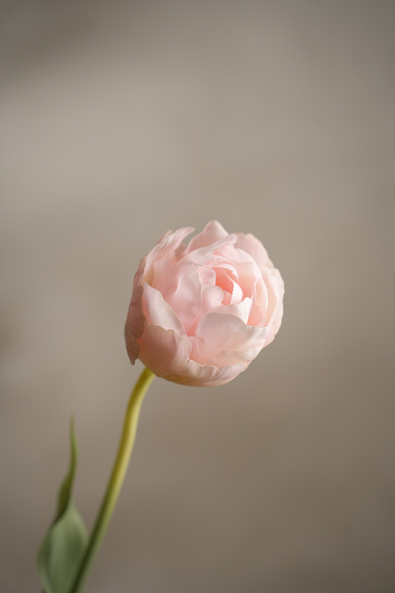 Kunstig rosa Tulipan 67 cm