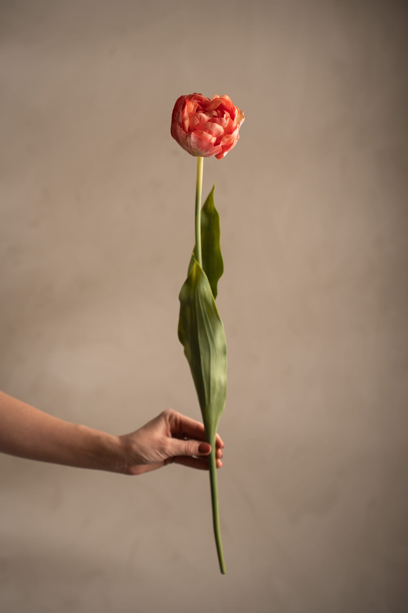 Kunstig rosa Tulipan 67 cm