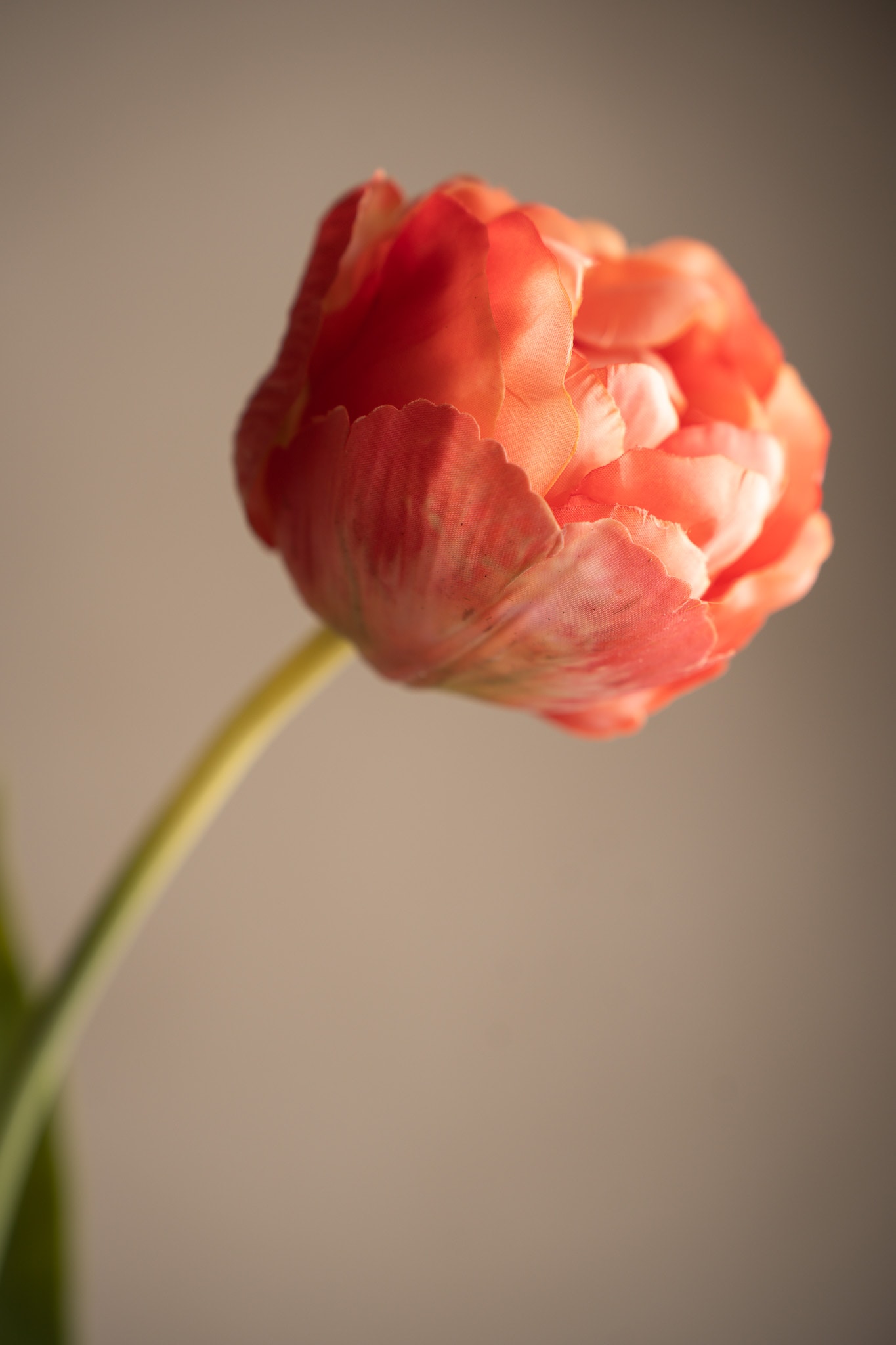 Kunstig rosa Tulipan 67 cm