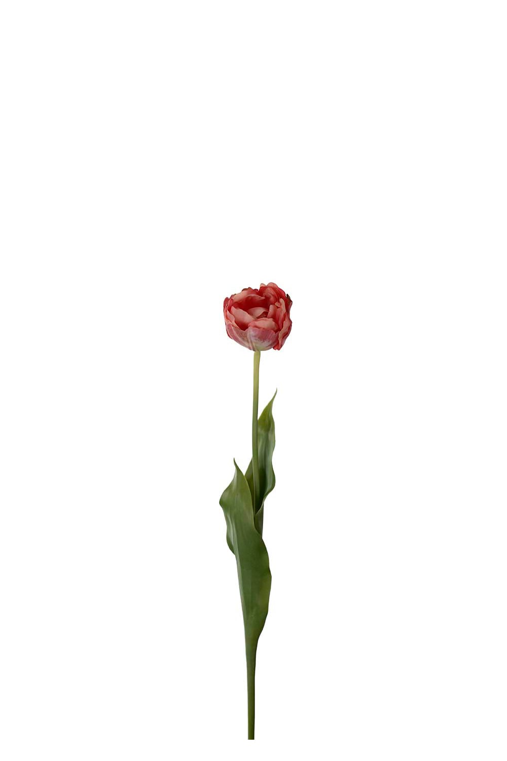 Kunstig rosa Tulipan 67 cm