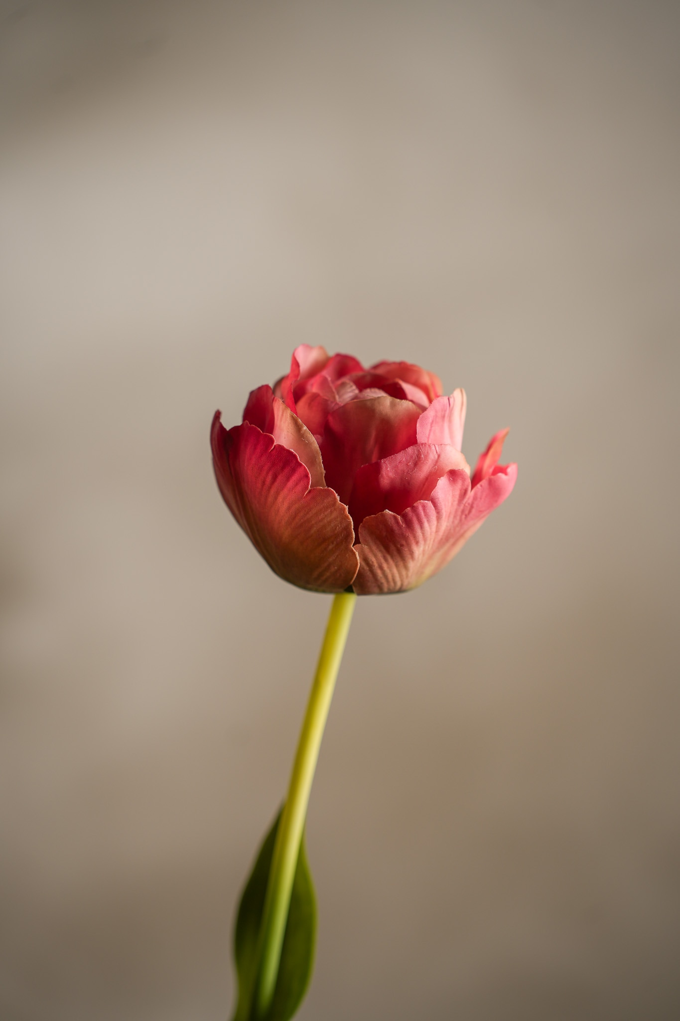 Kunstig rosa Tulipan 67 cm
