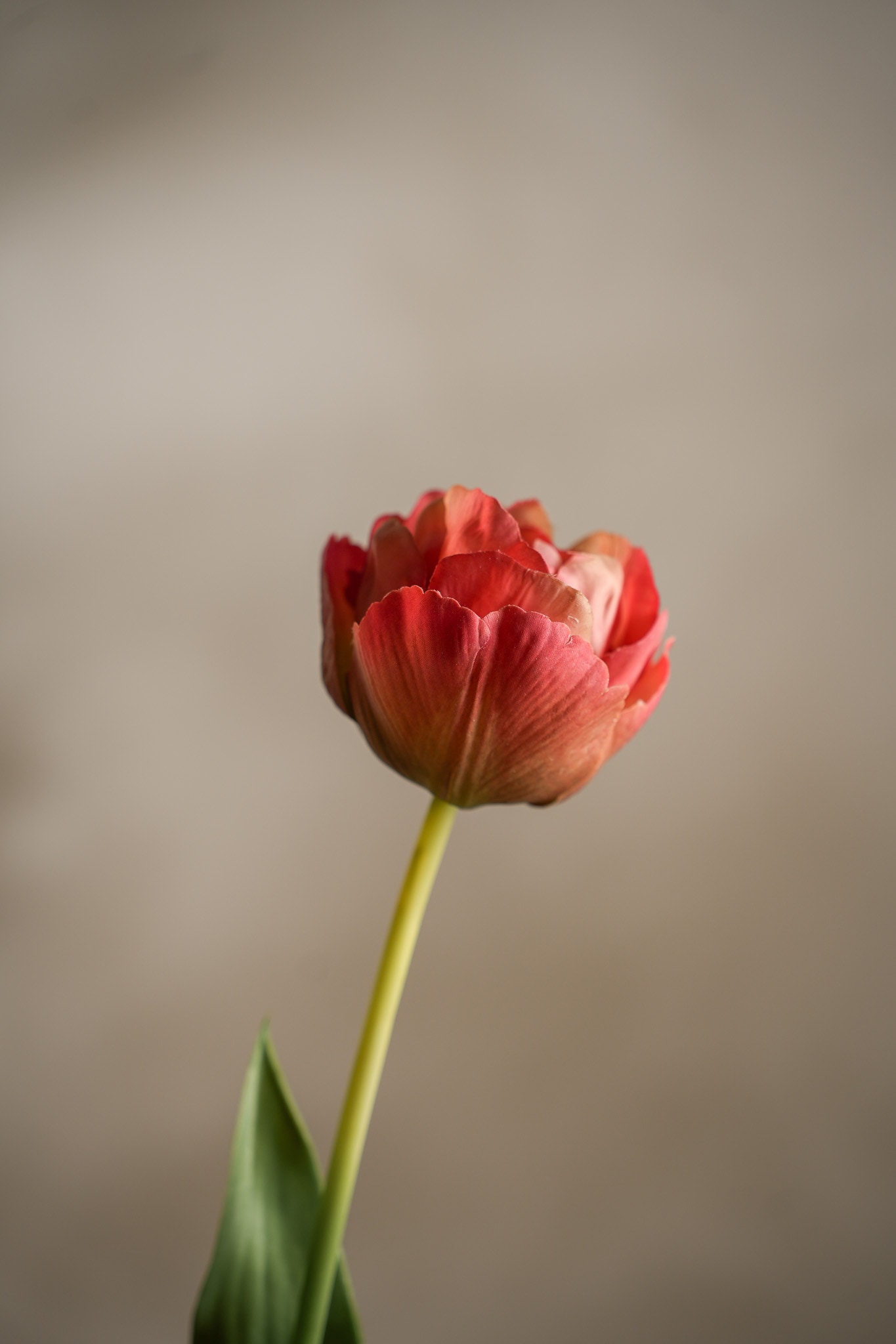 Kunstig rosa Tulipan 67 cm