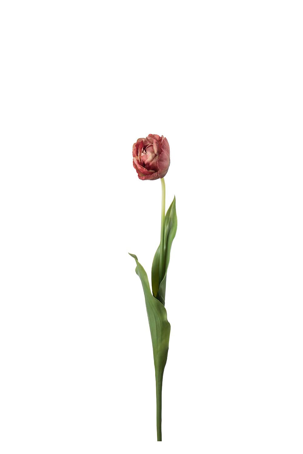 Kunstig rosa Tulipan 67 cm