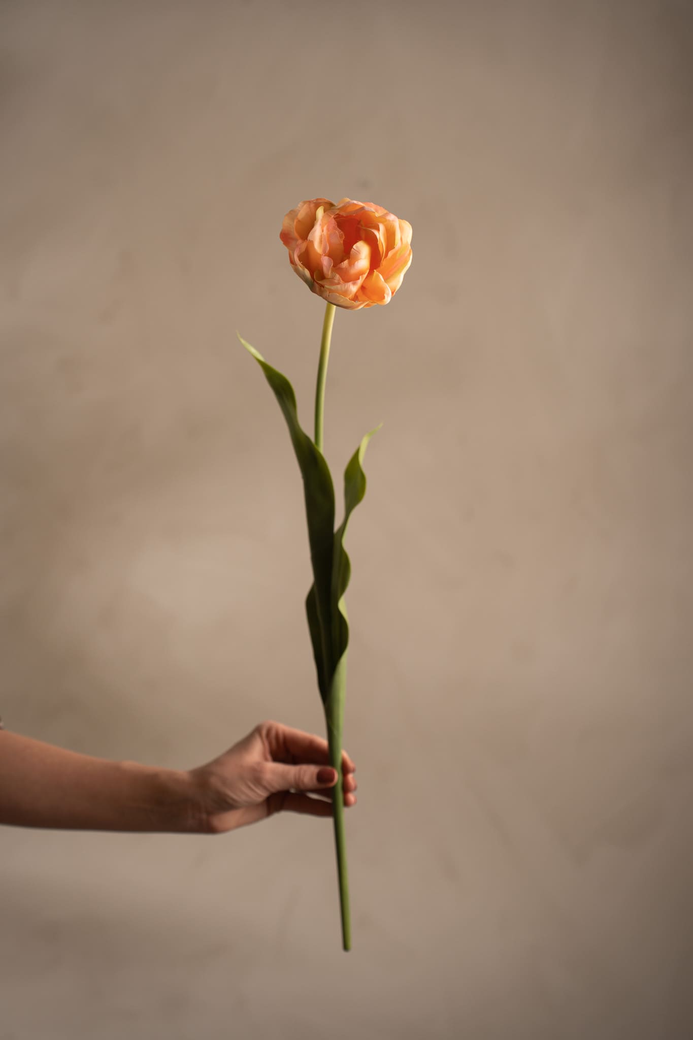 Kunstig ferskenfarget Tulipan 67 cm