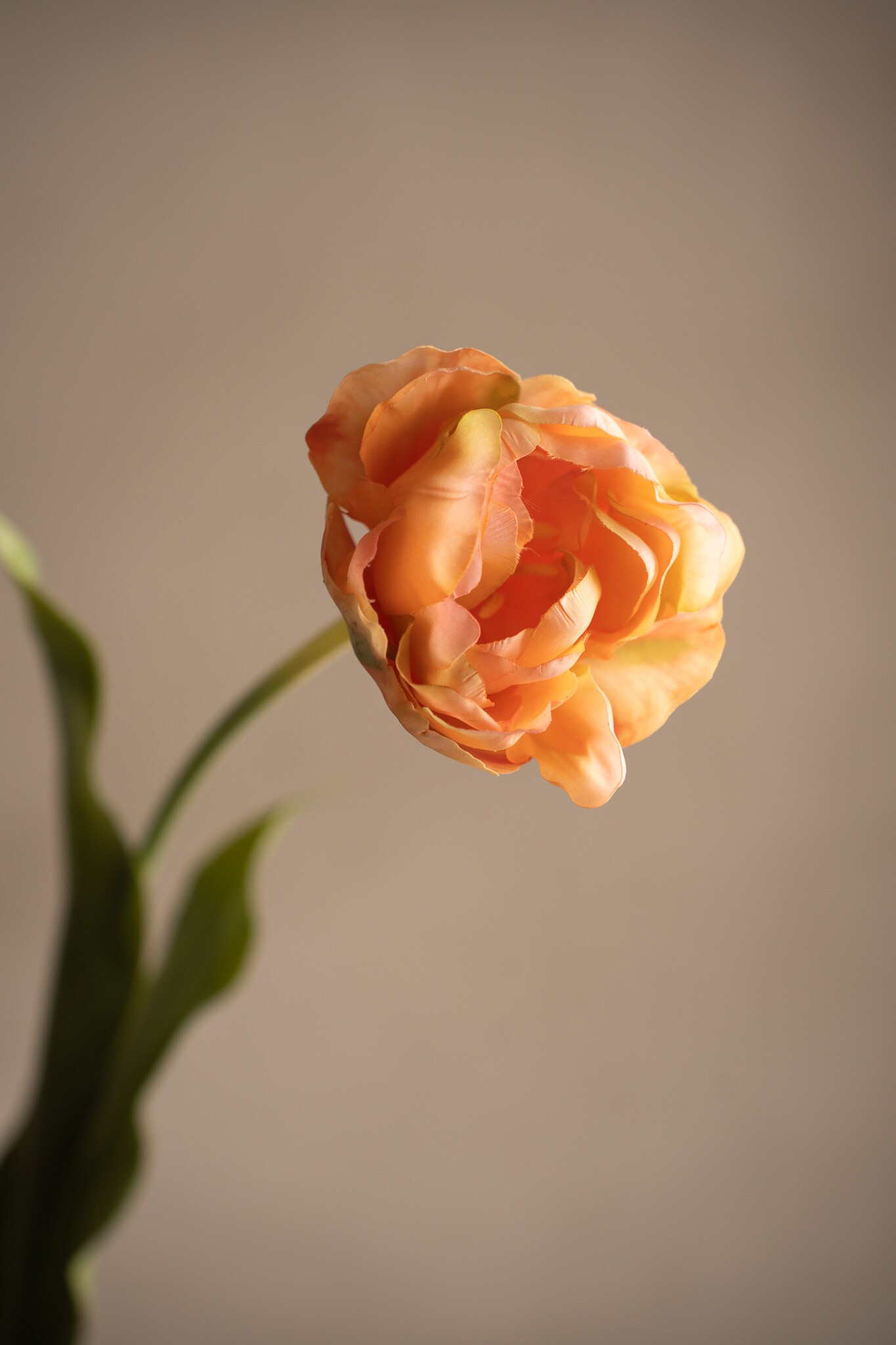 Kunstig ferskenfarget Tulipan 67 cm
