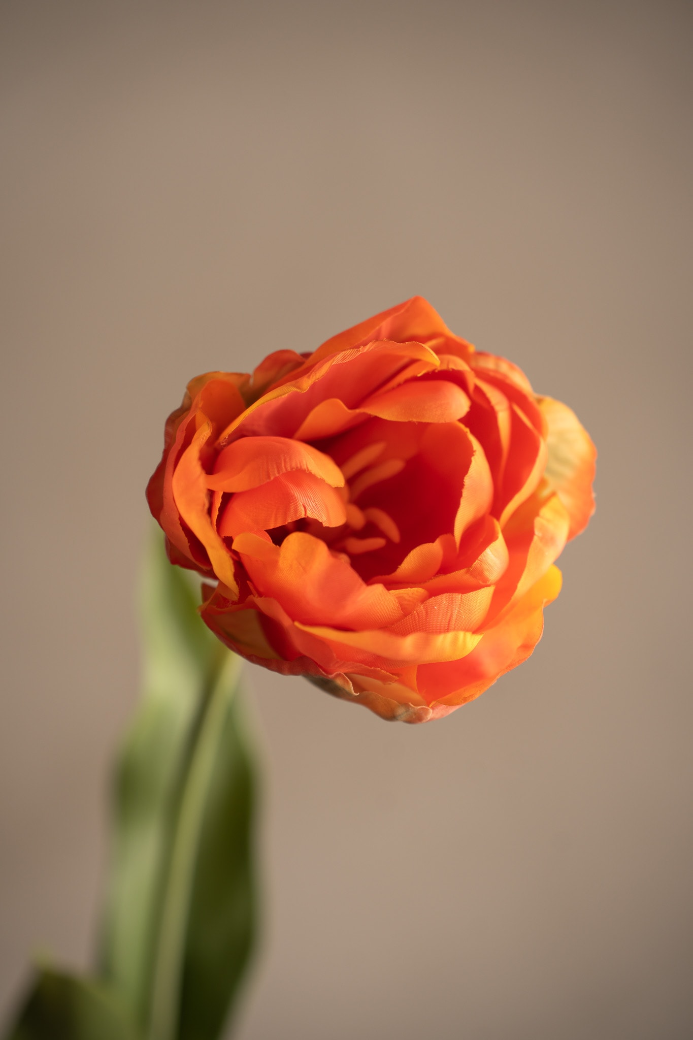 Kunstig oransje Tulipan 67 cm