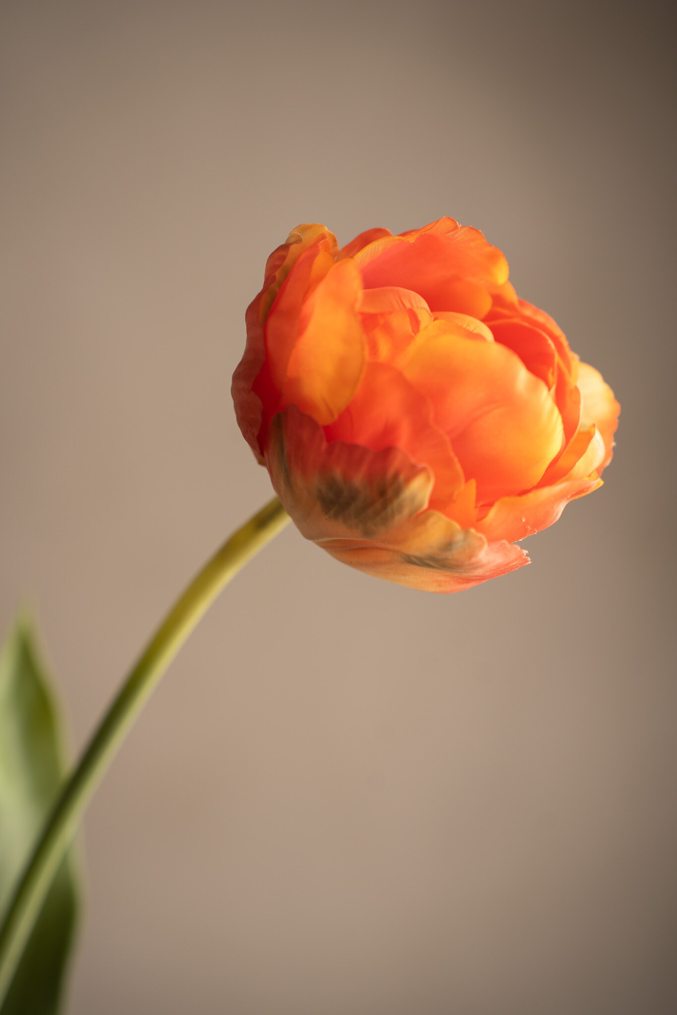 Kunstig oransje Tulipan 67 cm