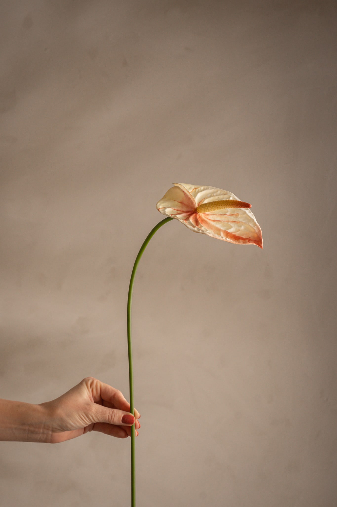 Kunstig rosa Anthurium 65 cm