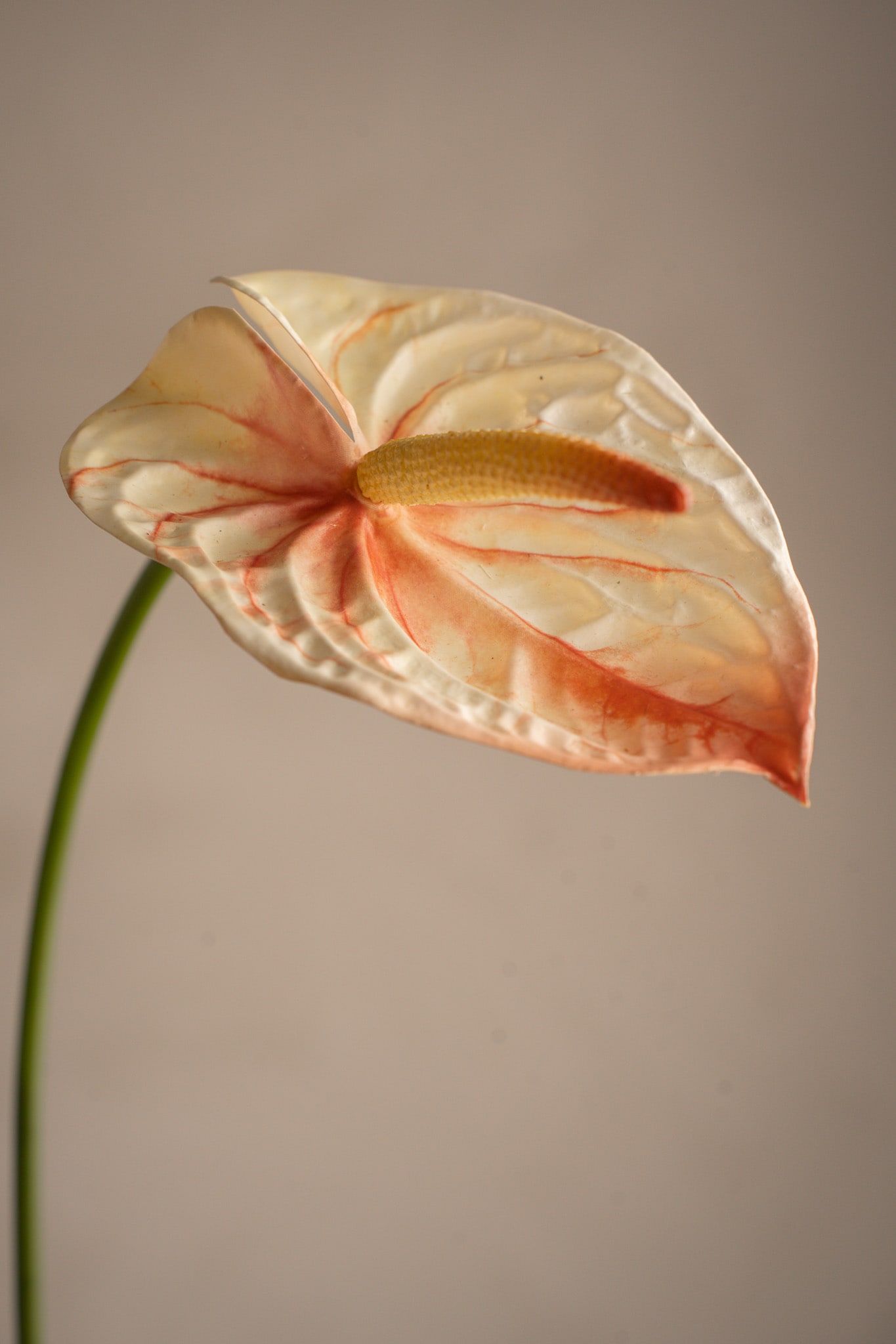 Kunstig rosa Anthurium 65 cm