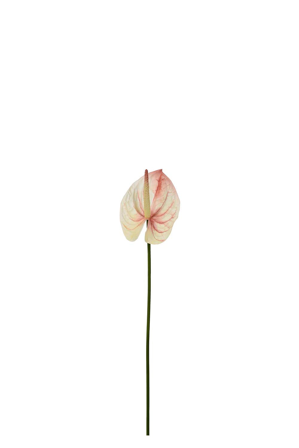 Kunstig rosa Anthurium 65 cm