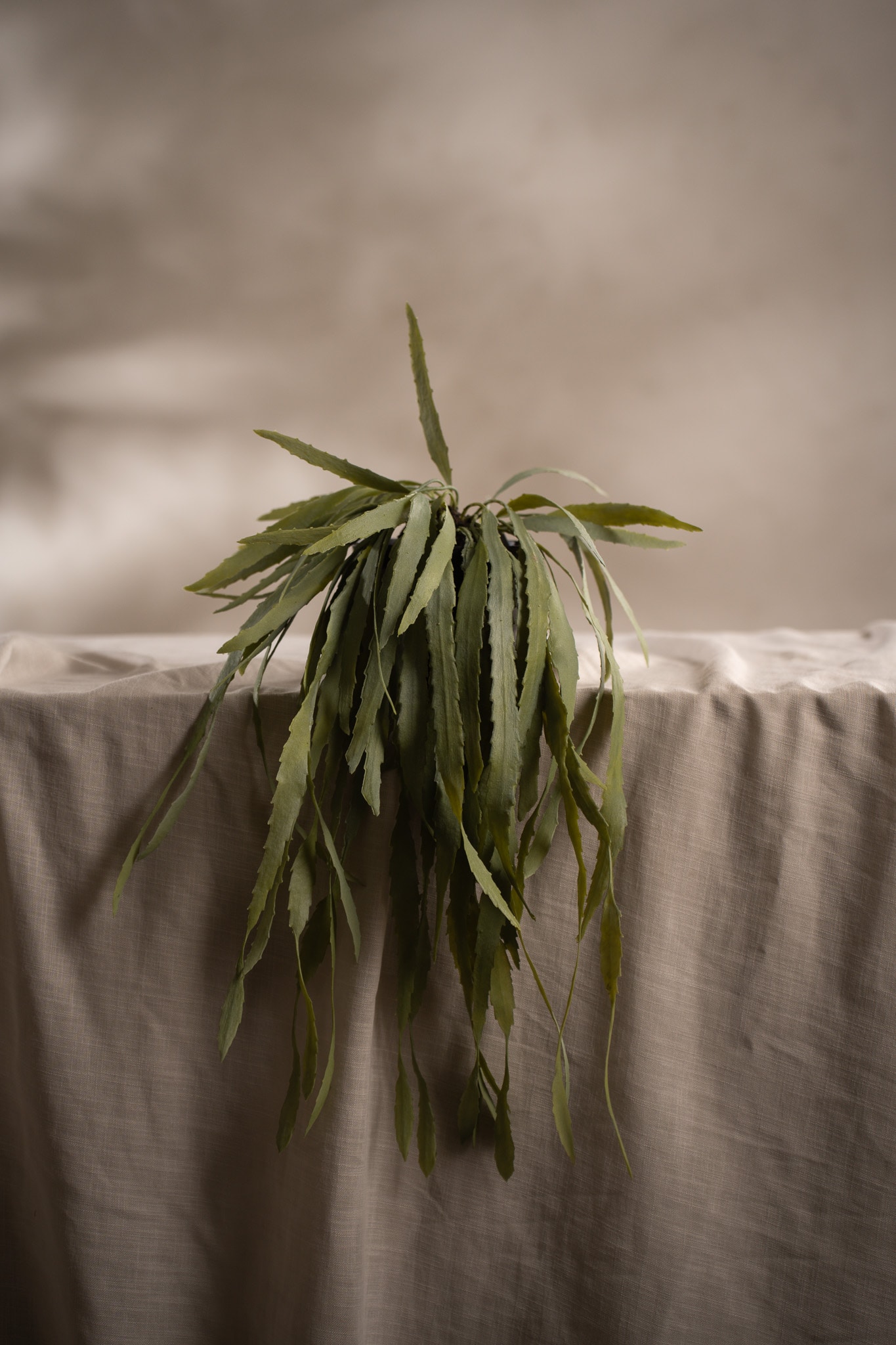 Kunstig grønn Rhipsalis 15 cm