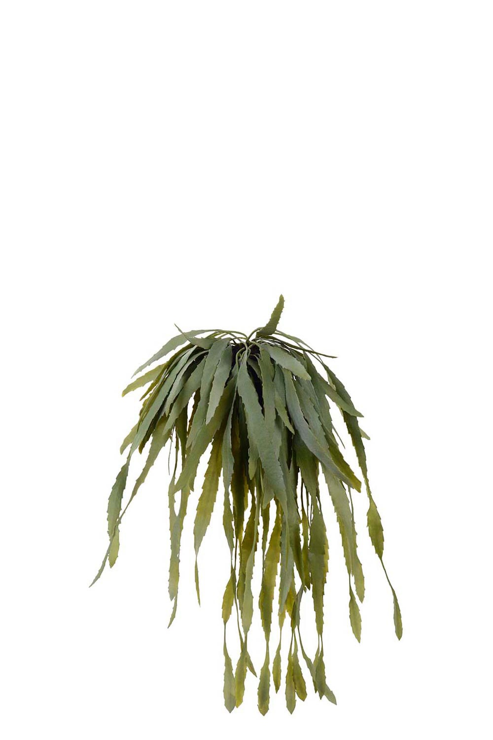 Kunstig grønn Rhipsalis 15 cm