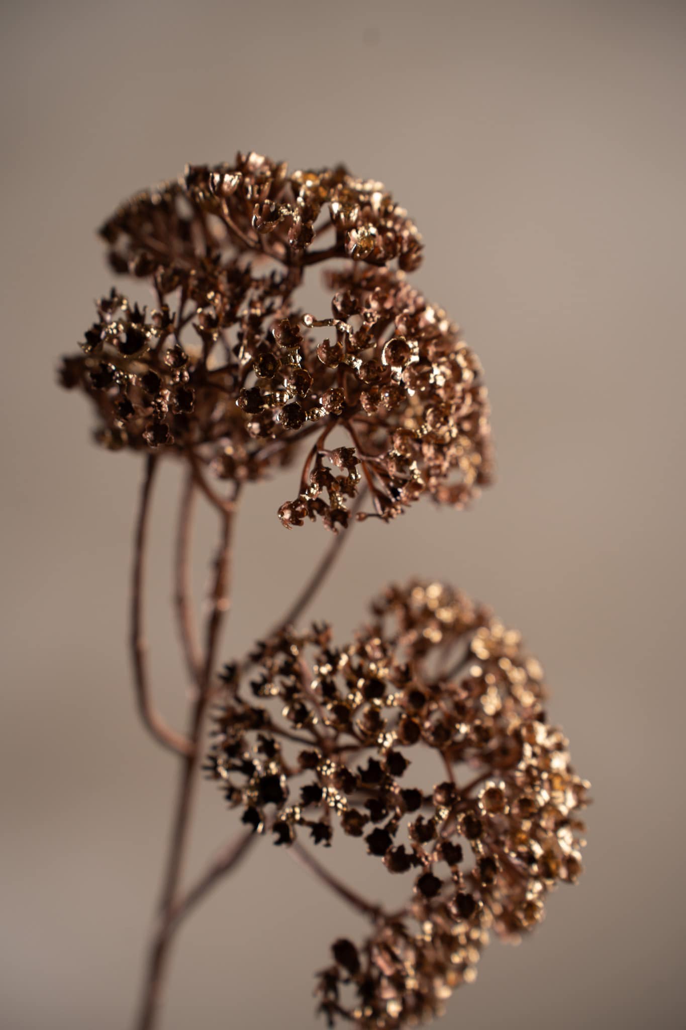 Kunstig brun/metallic Ryllik 54 cm
