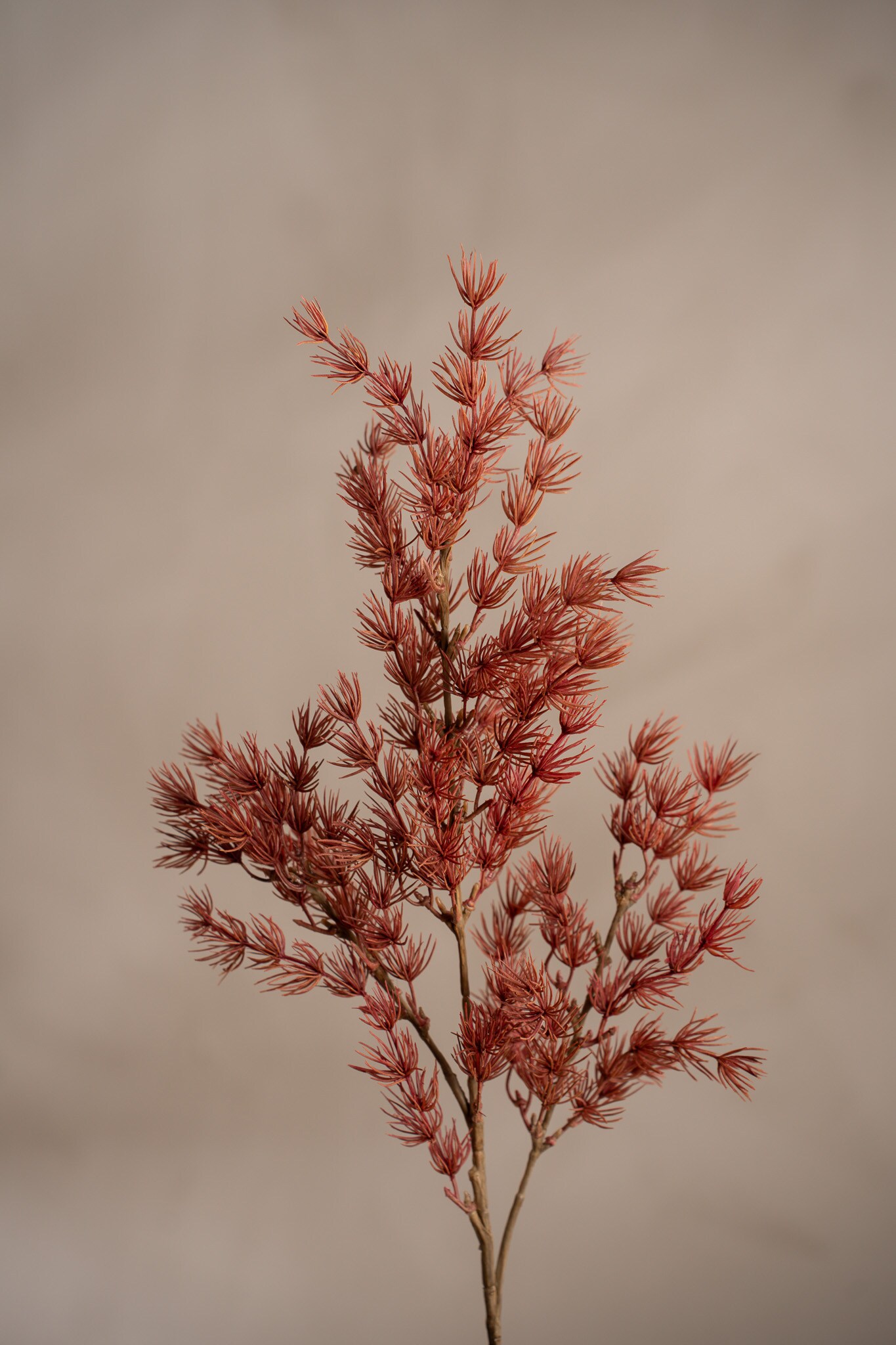 Kunstig rosa Asparagus 75 cm