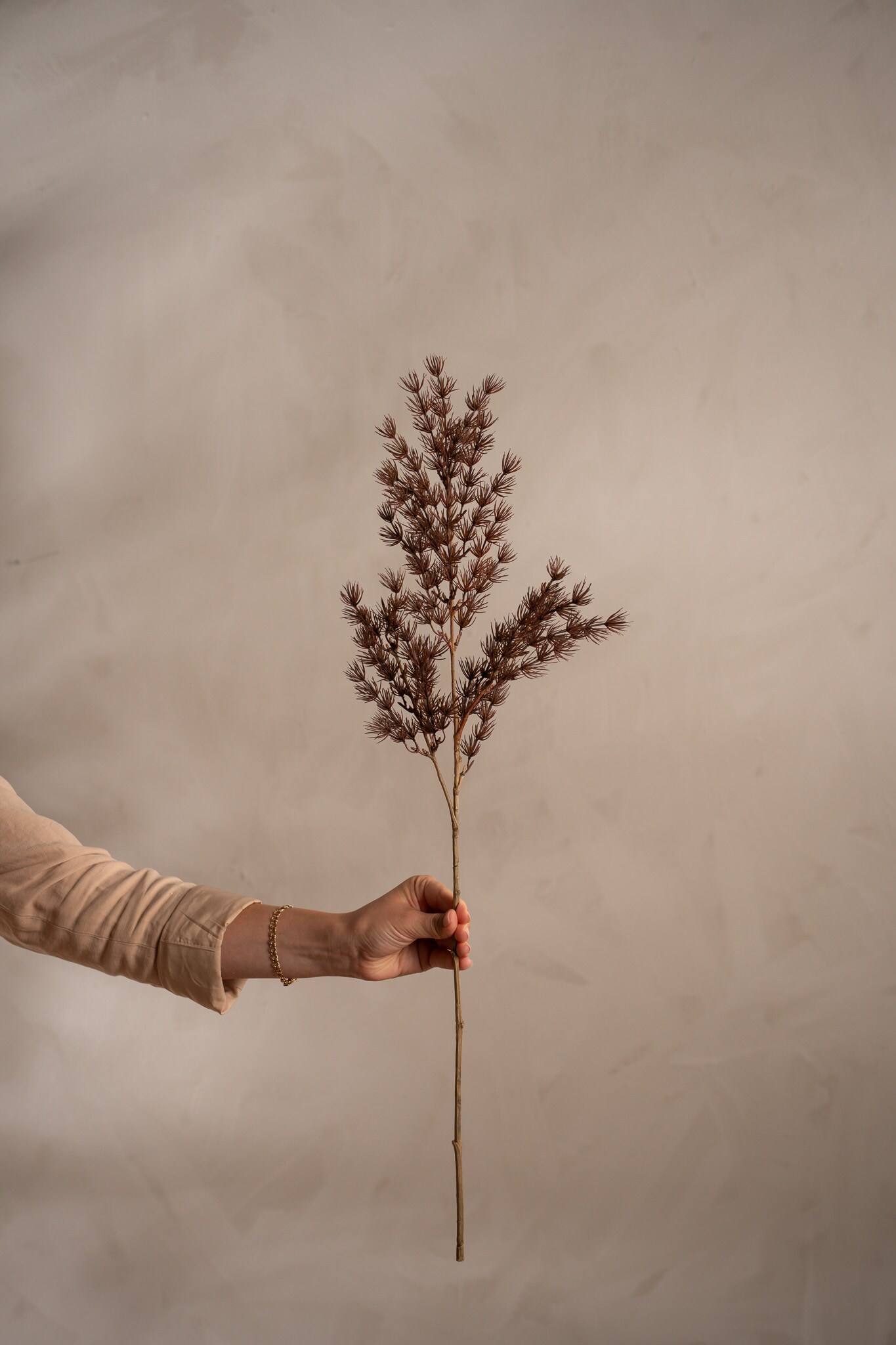 Kunstig brun Asparagus 75 cm