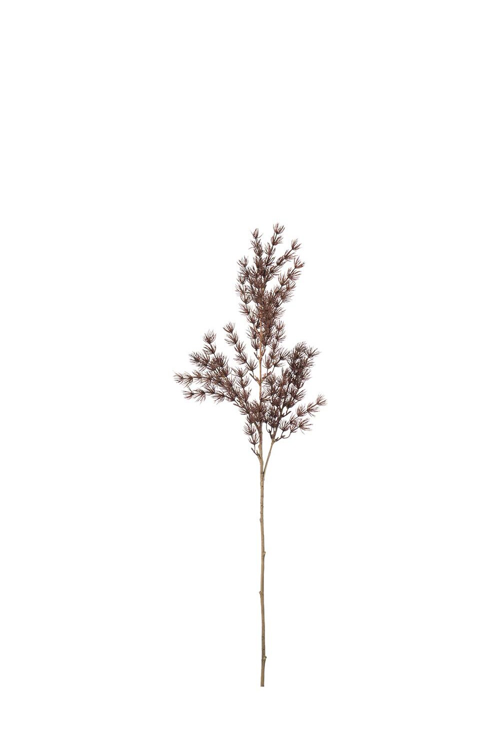 Kunstig brun Asparagus 75 cm