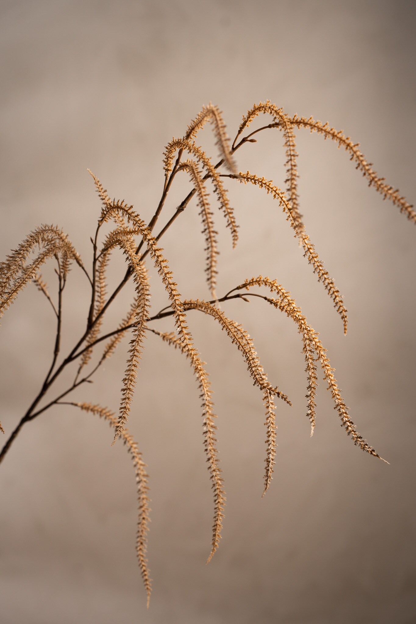 Kunstig beige Amaranthus 95 cm