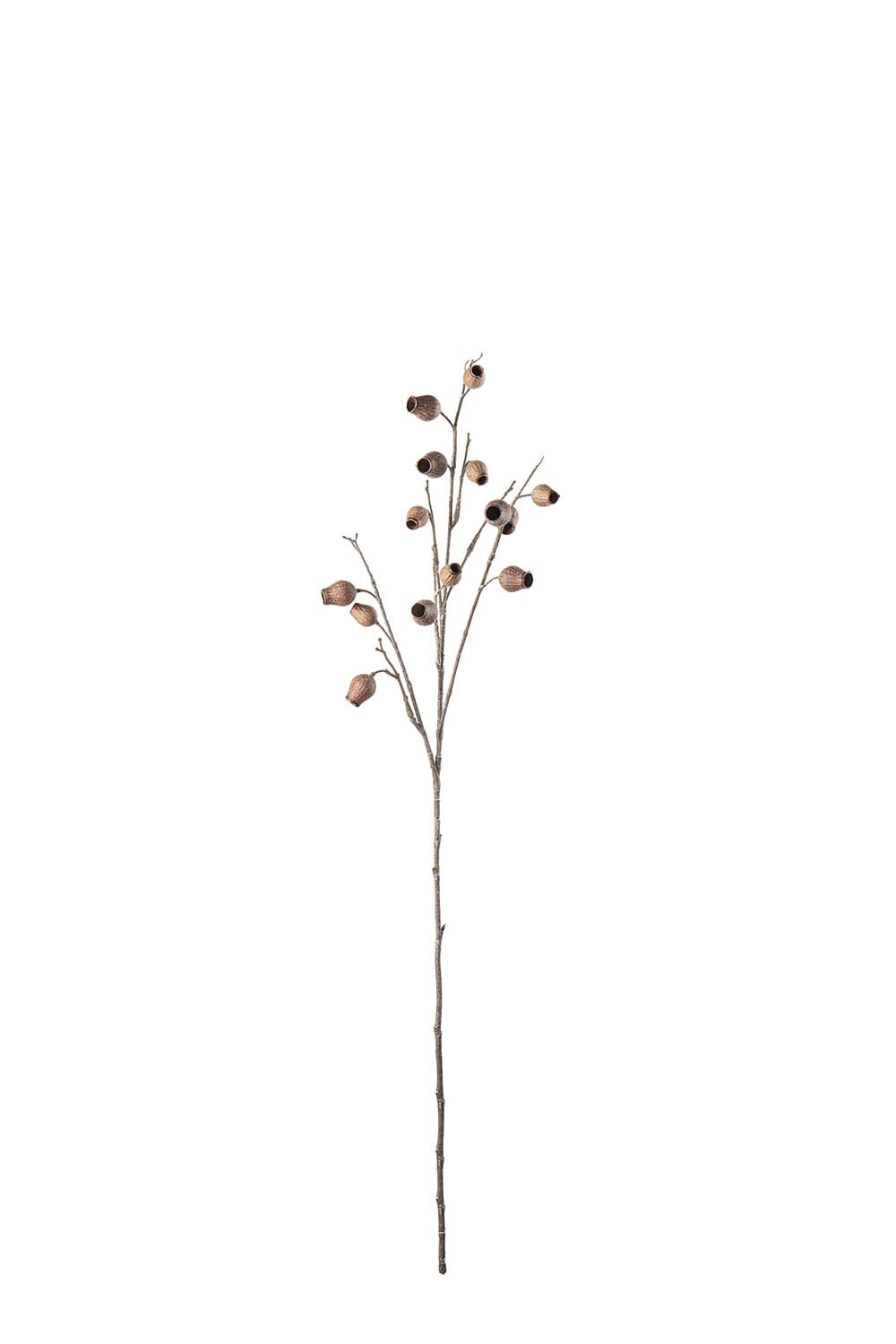 Kunstig brun Frøkapsel 85 cm