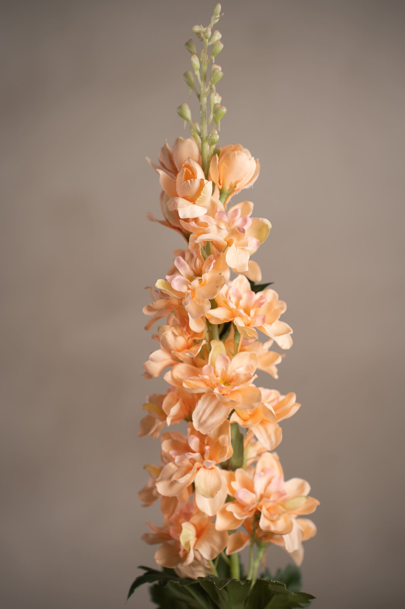 Kunstig ferskenfarget Delphinium 75 cm