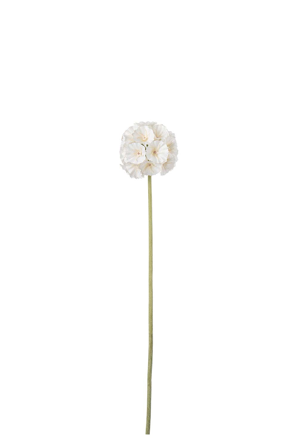 Kunstig kremfarget Scabiosa 60 cm