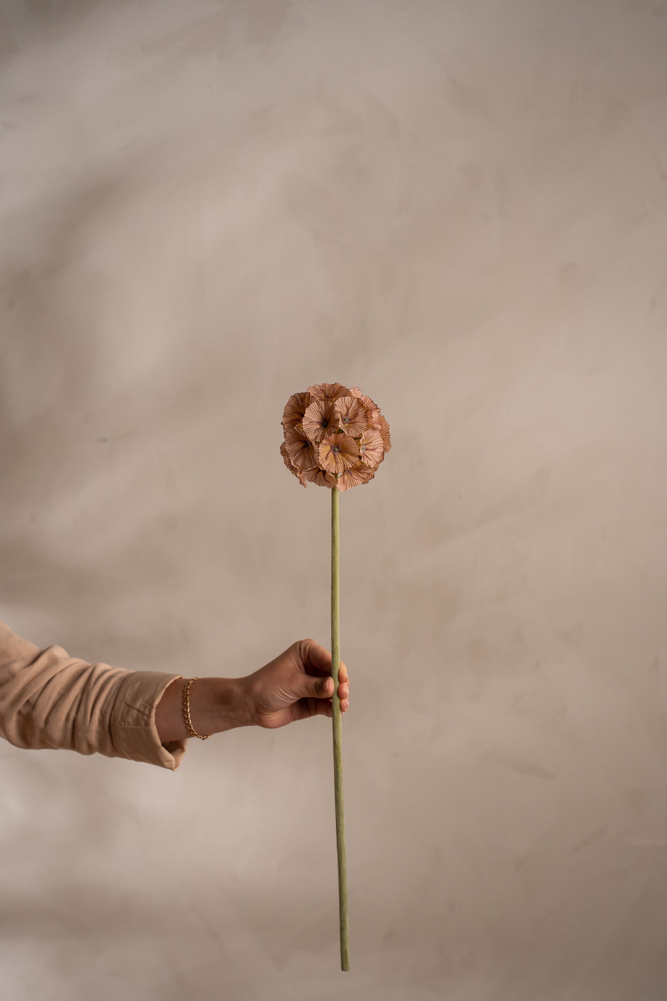 Kunstig brun Scabiosa 60 cm