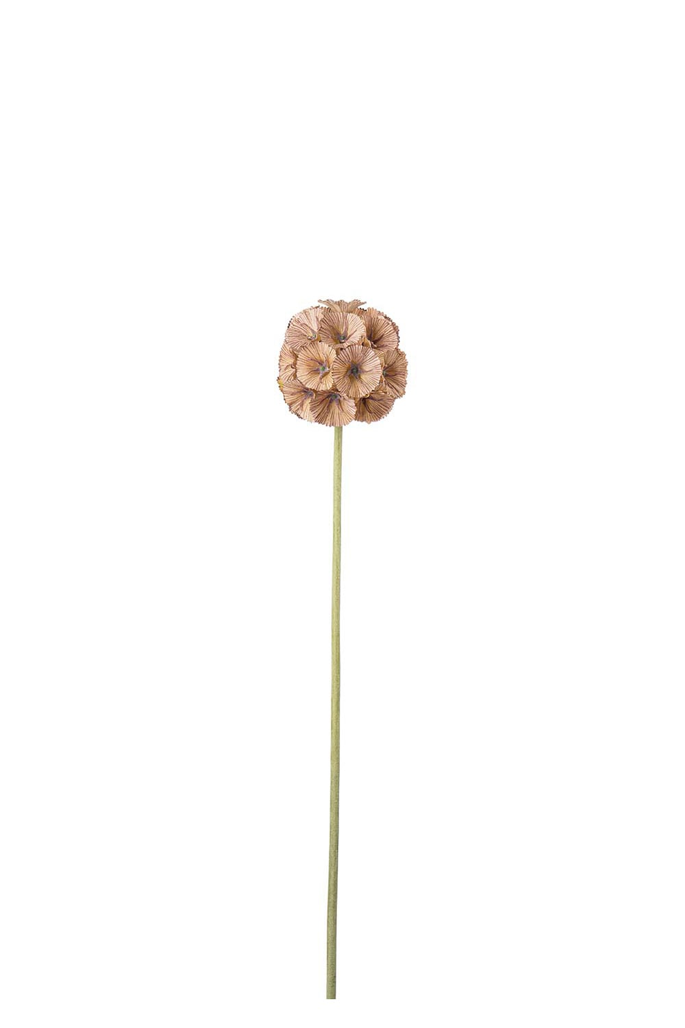 Kunstig brun Scabiosa 60 cm