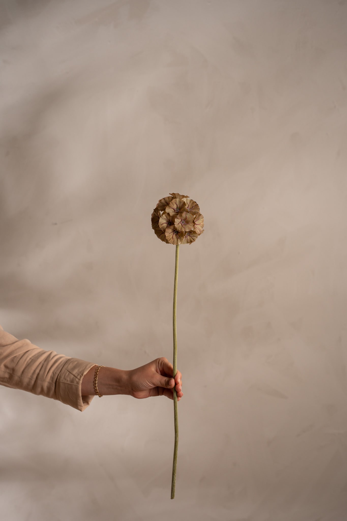Kunstig grønn Scabiosa 60 cm