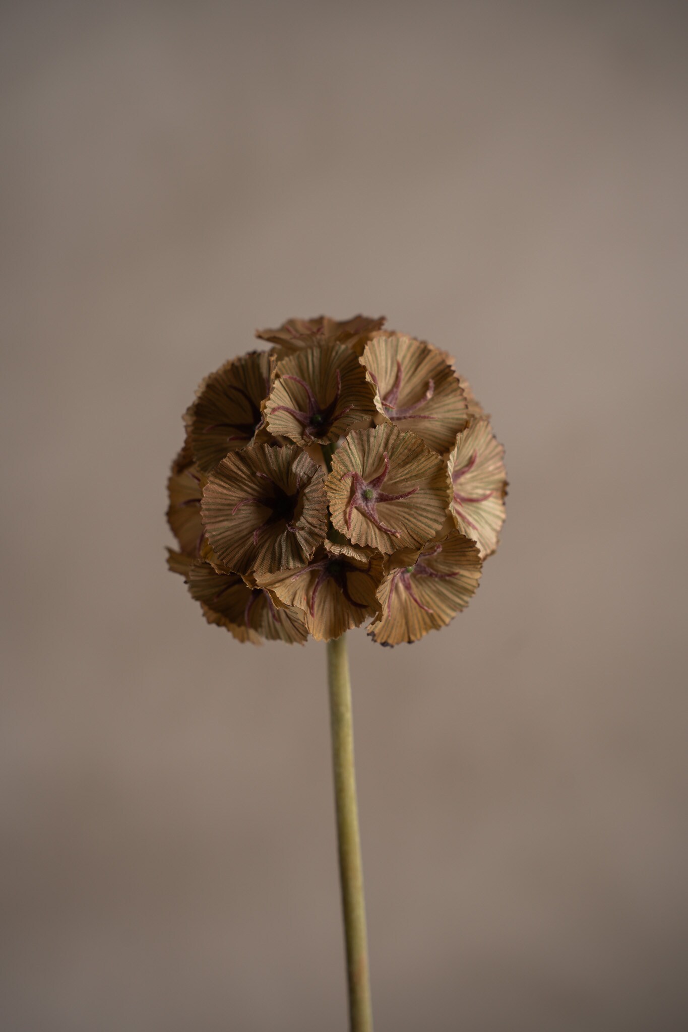 Kunstig grønn Scabiosa 60 cm