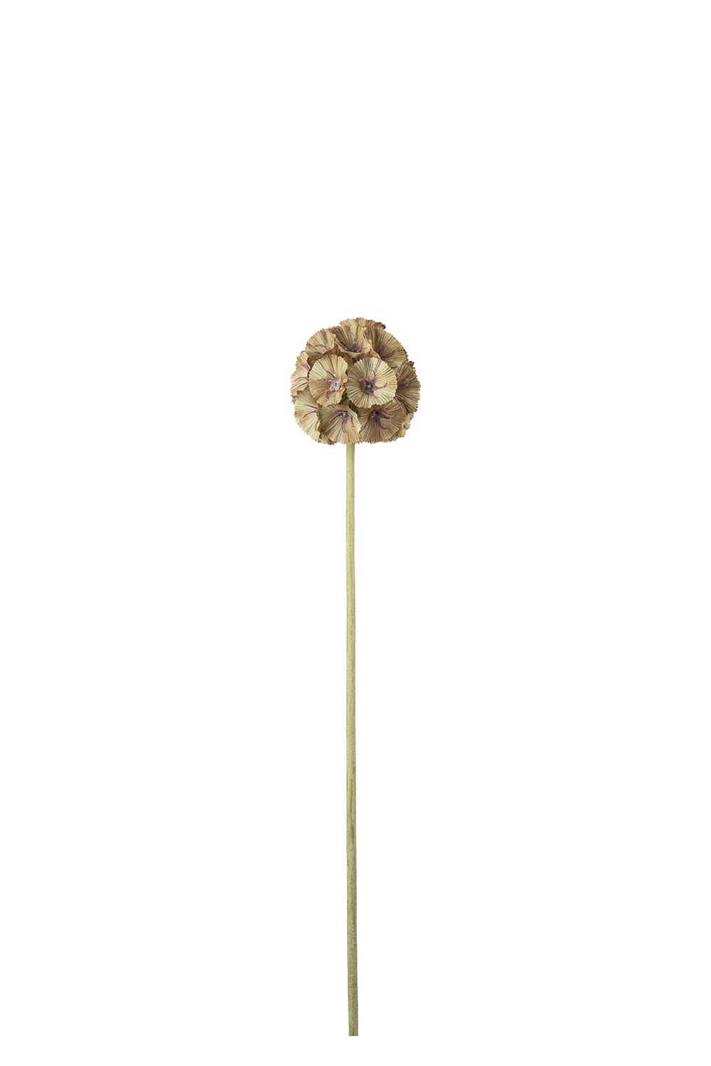 Kunstig grønn Scabiosa 60 cm
