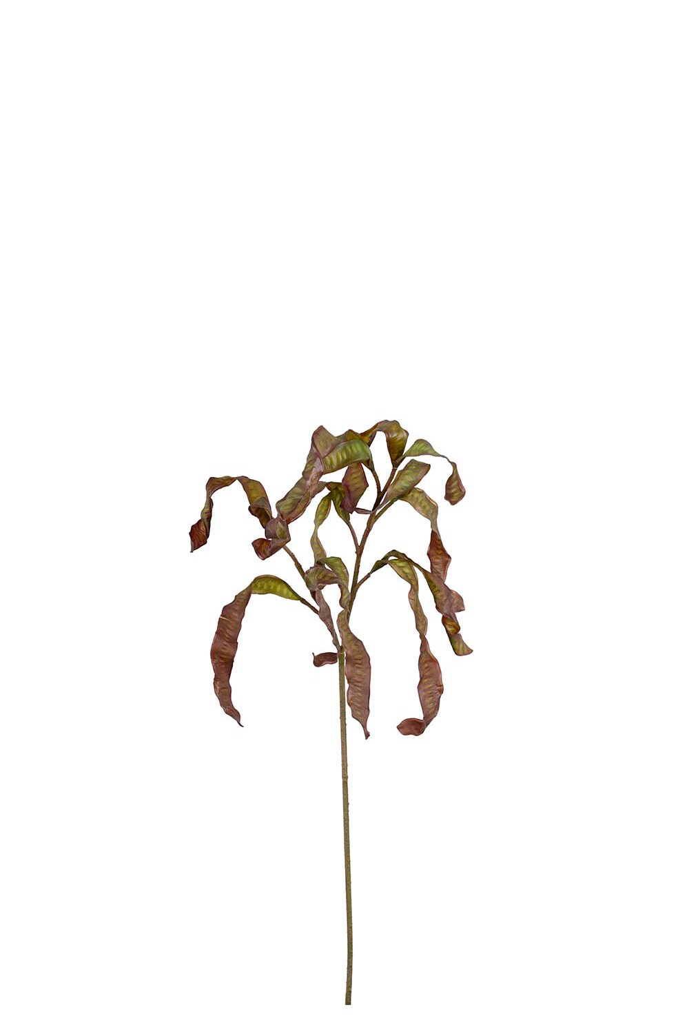 Kunstig brun Kvist 75 cm