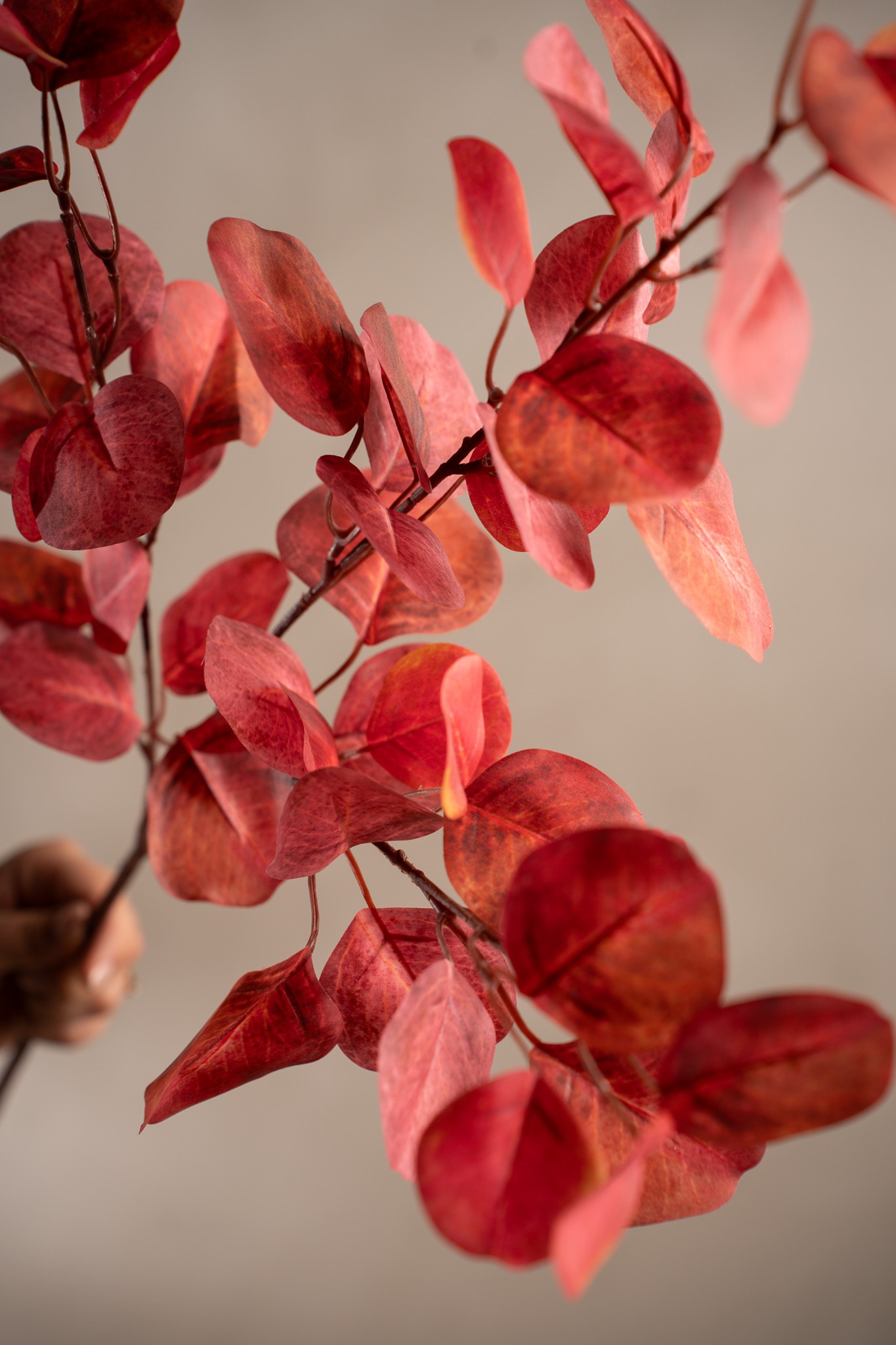 Kunstig rosa Eucalyptus 95 cm