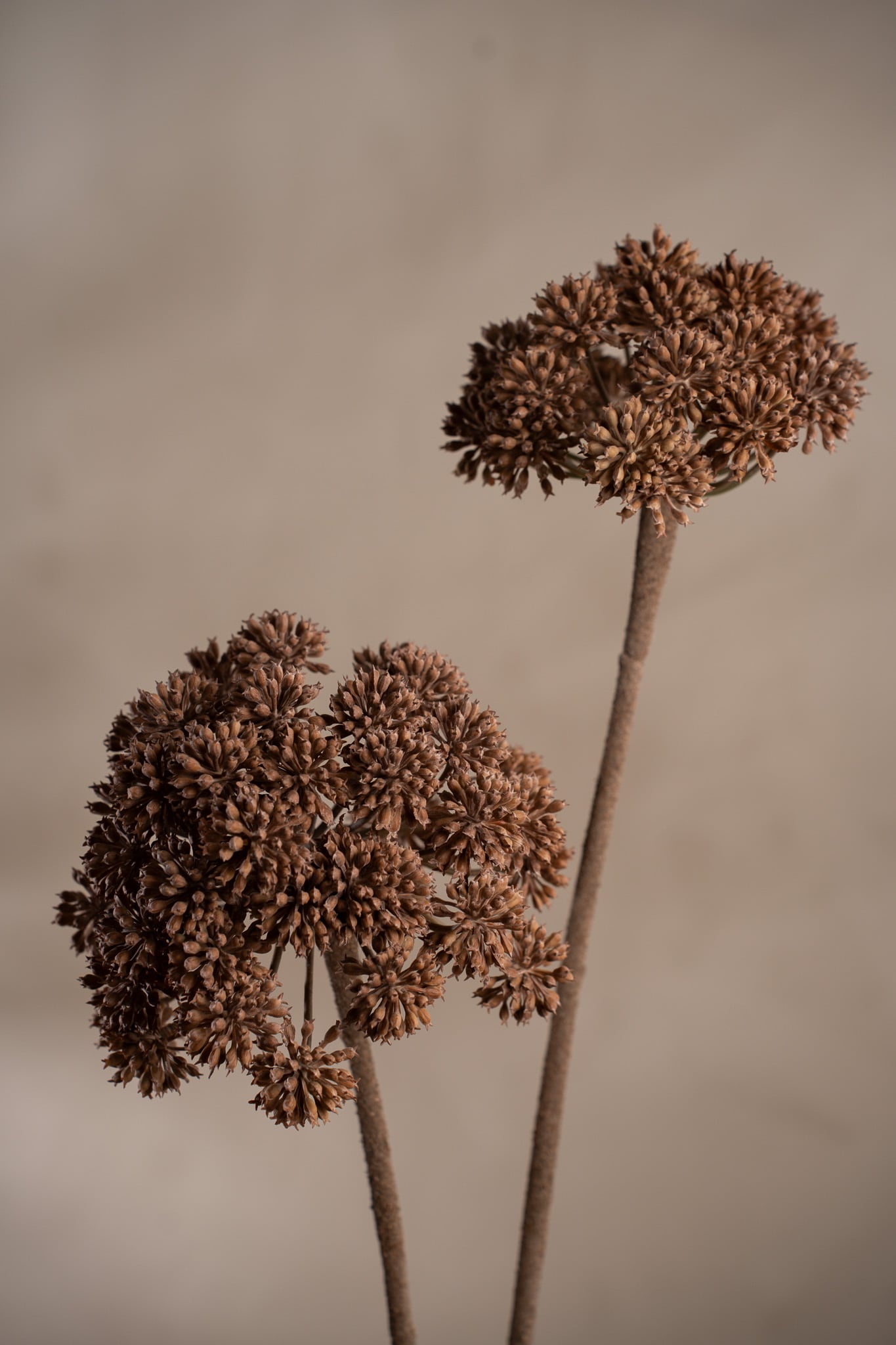 Kunstig brun Angelica 115 cm