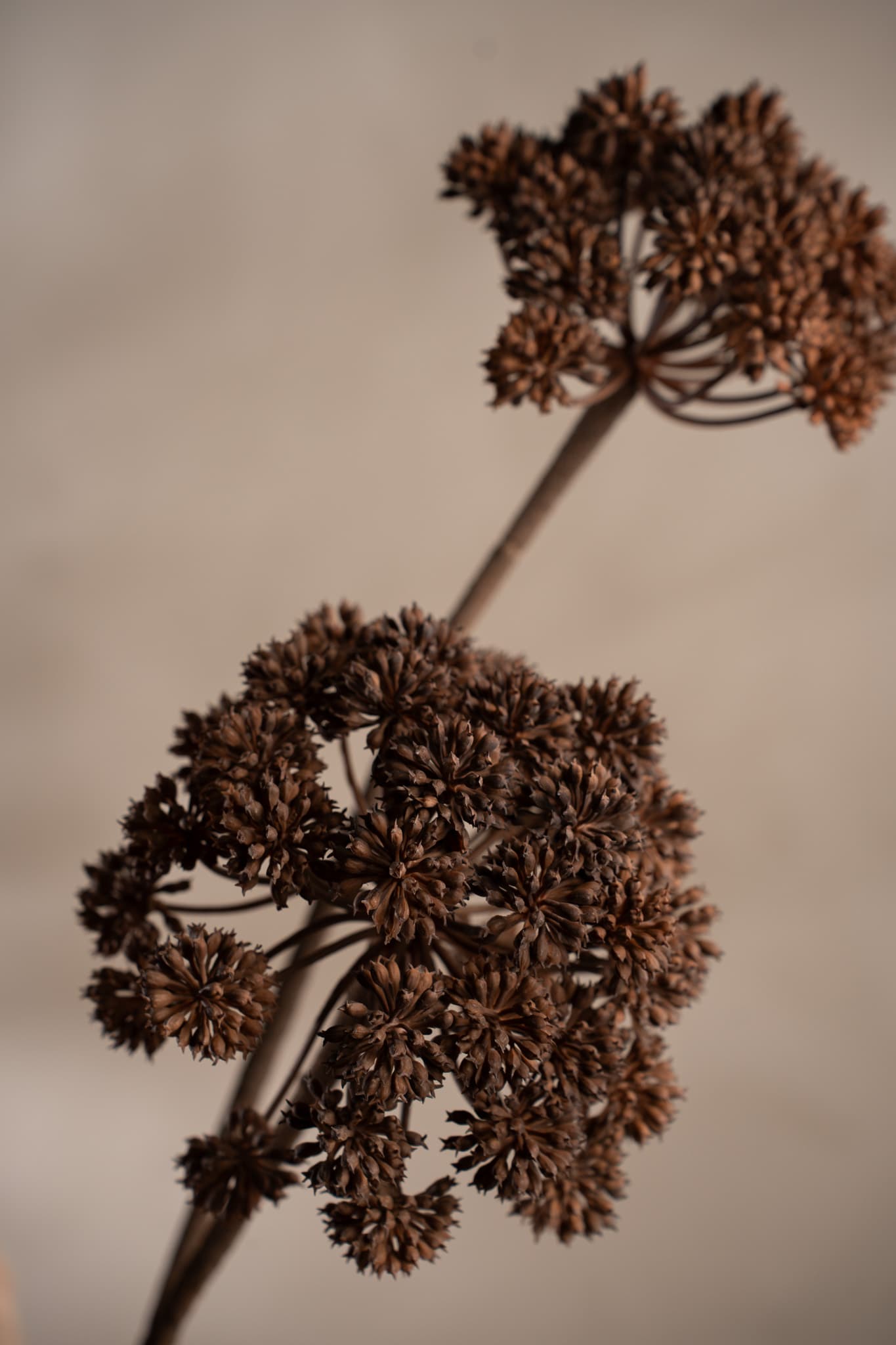 Kunstig brun Angelica 115 cm