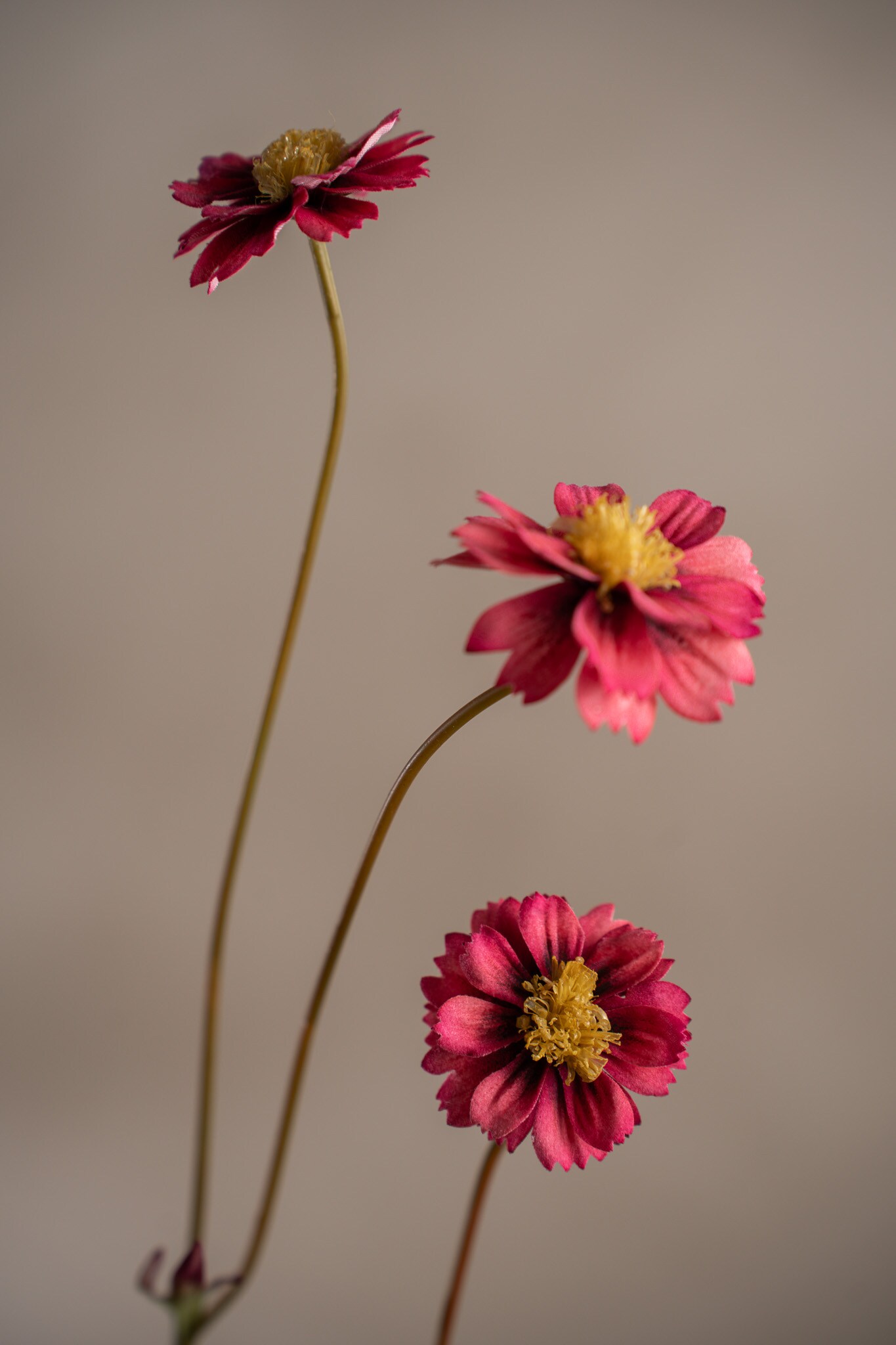 Kunstig rosa Coreopsis 57 cm